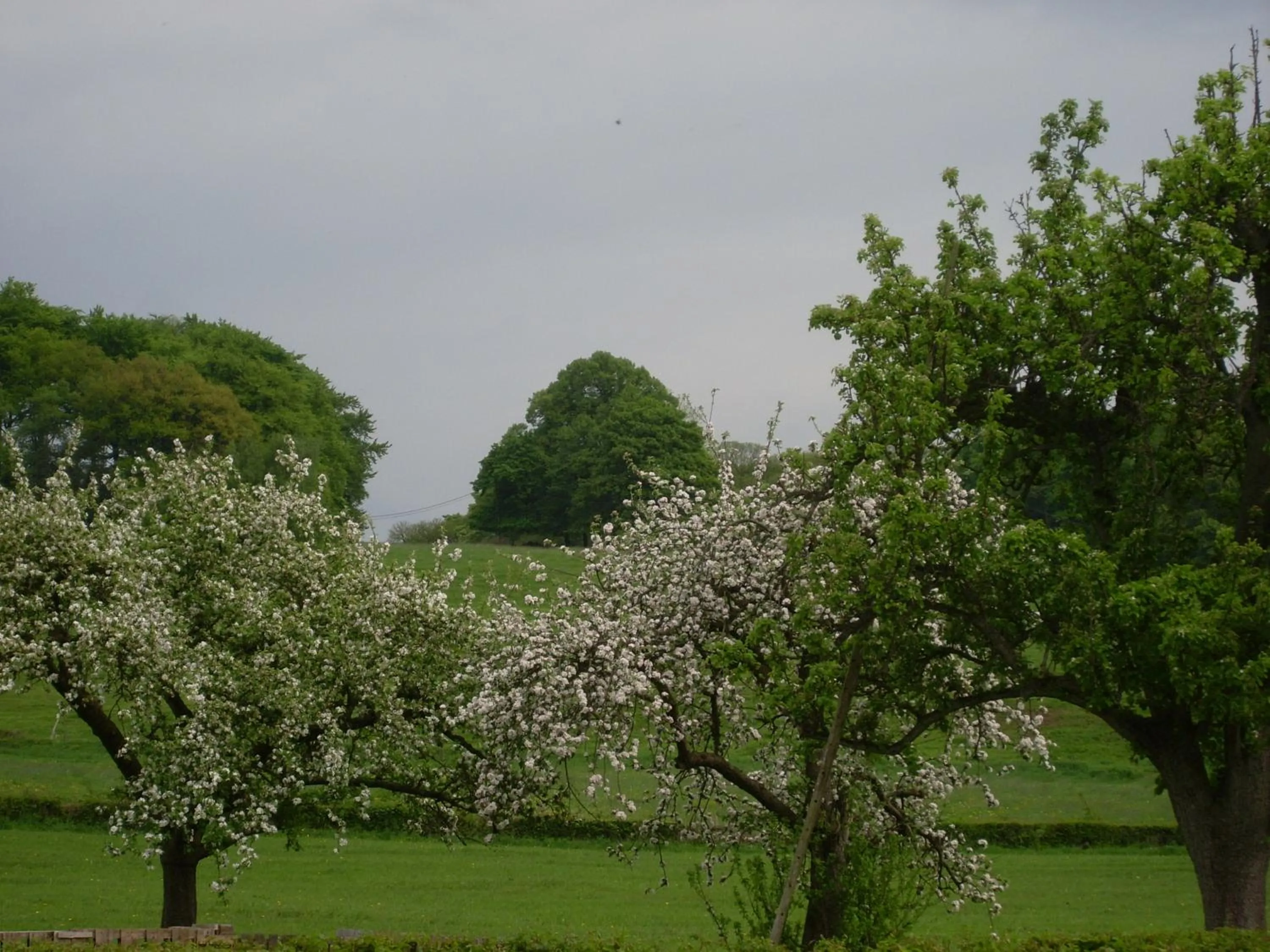 Natural landscape in Du Coté de chez Jeanne, Suite