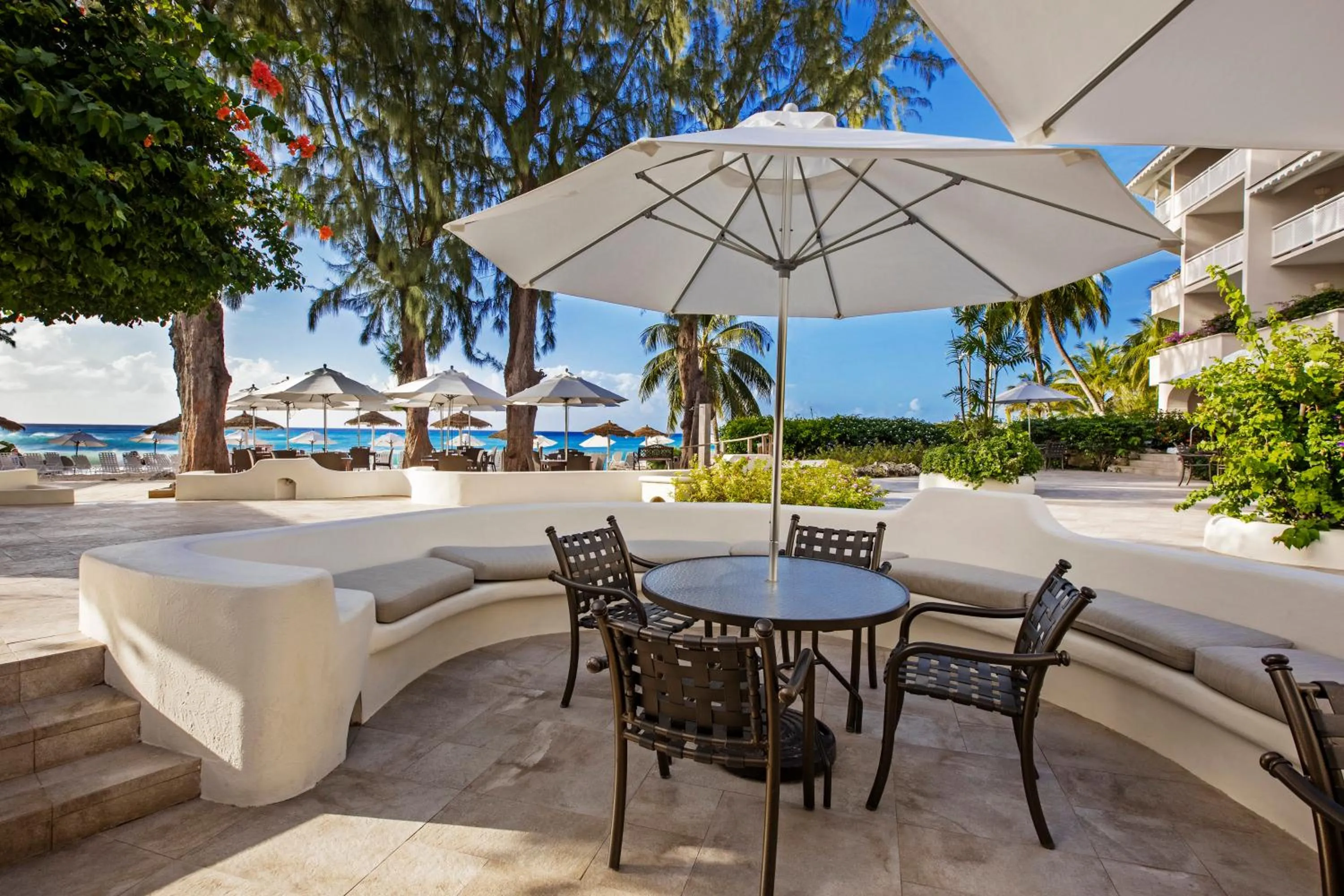 Day in Bougainvillea Barbados