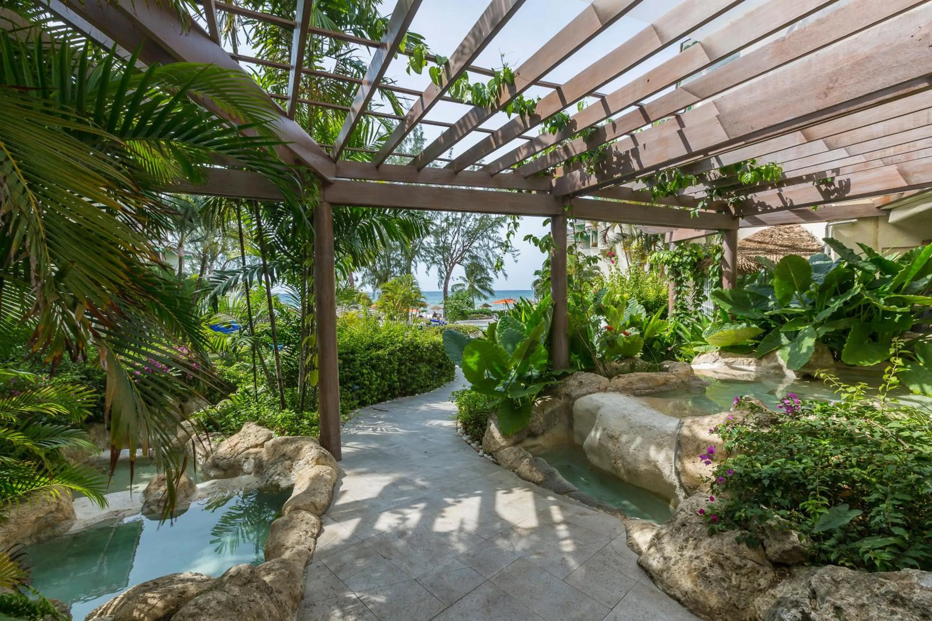 Decorative detail in Bougainvillea Barbados