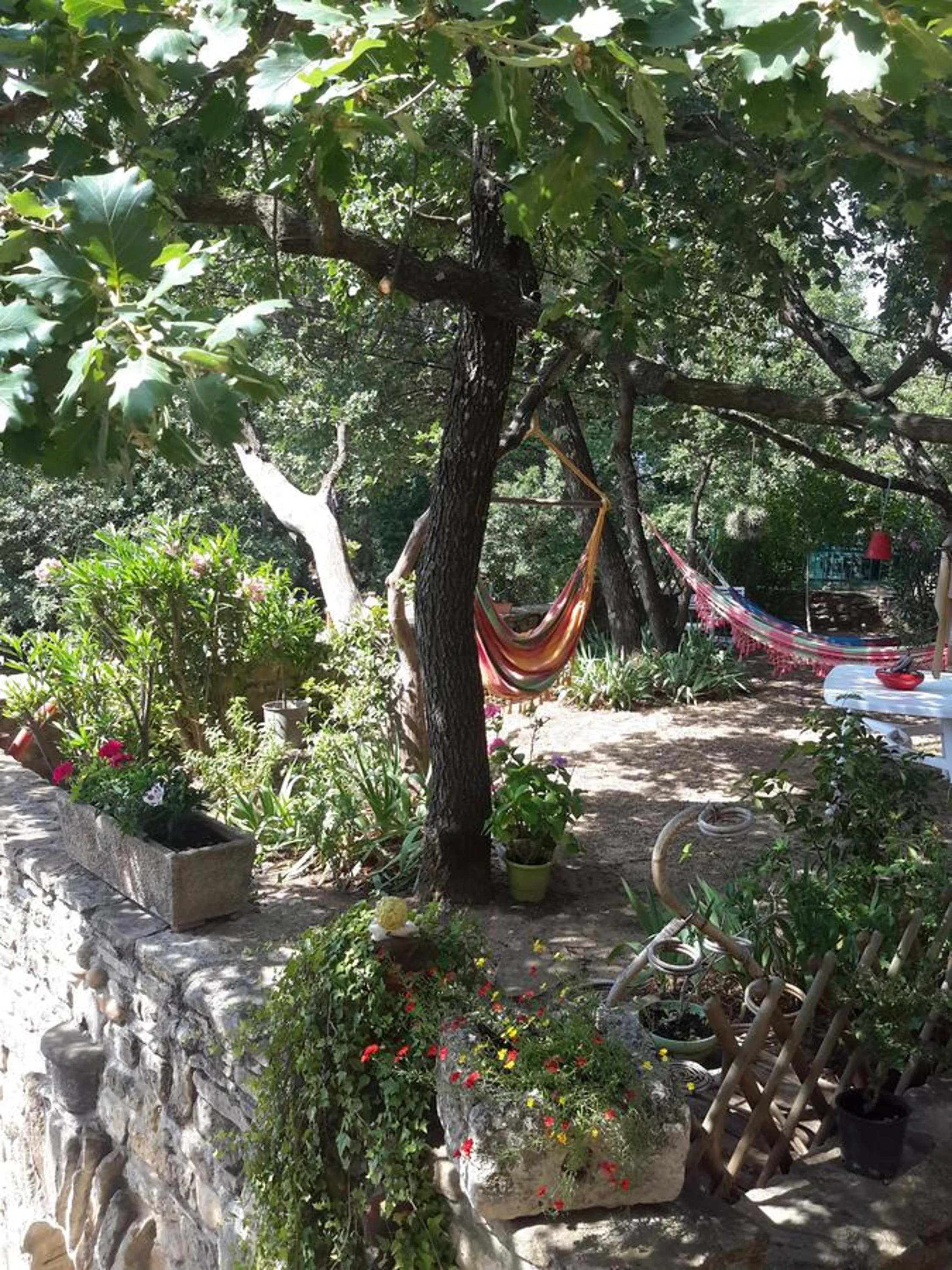 View (from property/room) in Om'Sleeping B&B