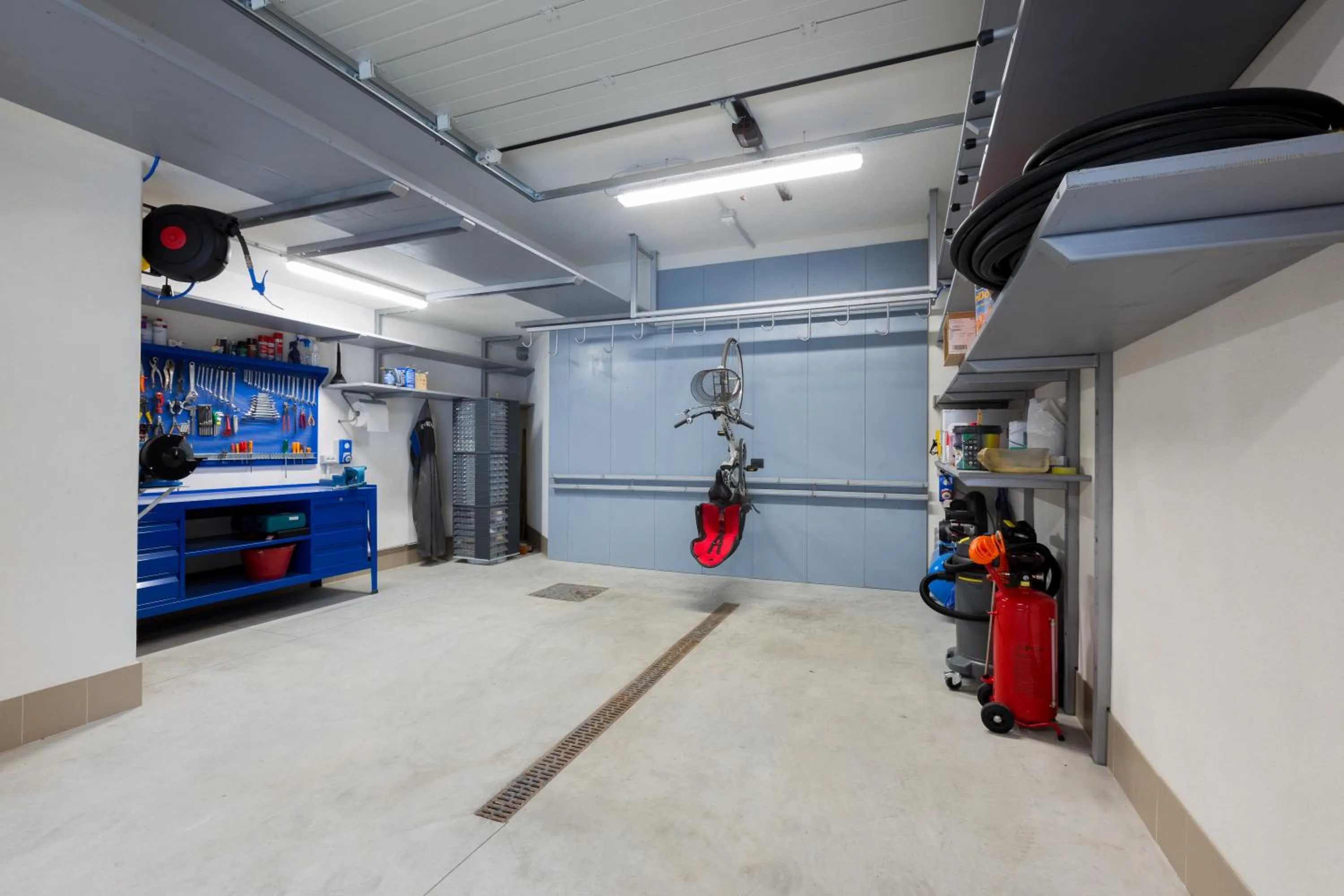 Cycling in Green Rose