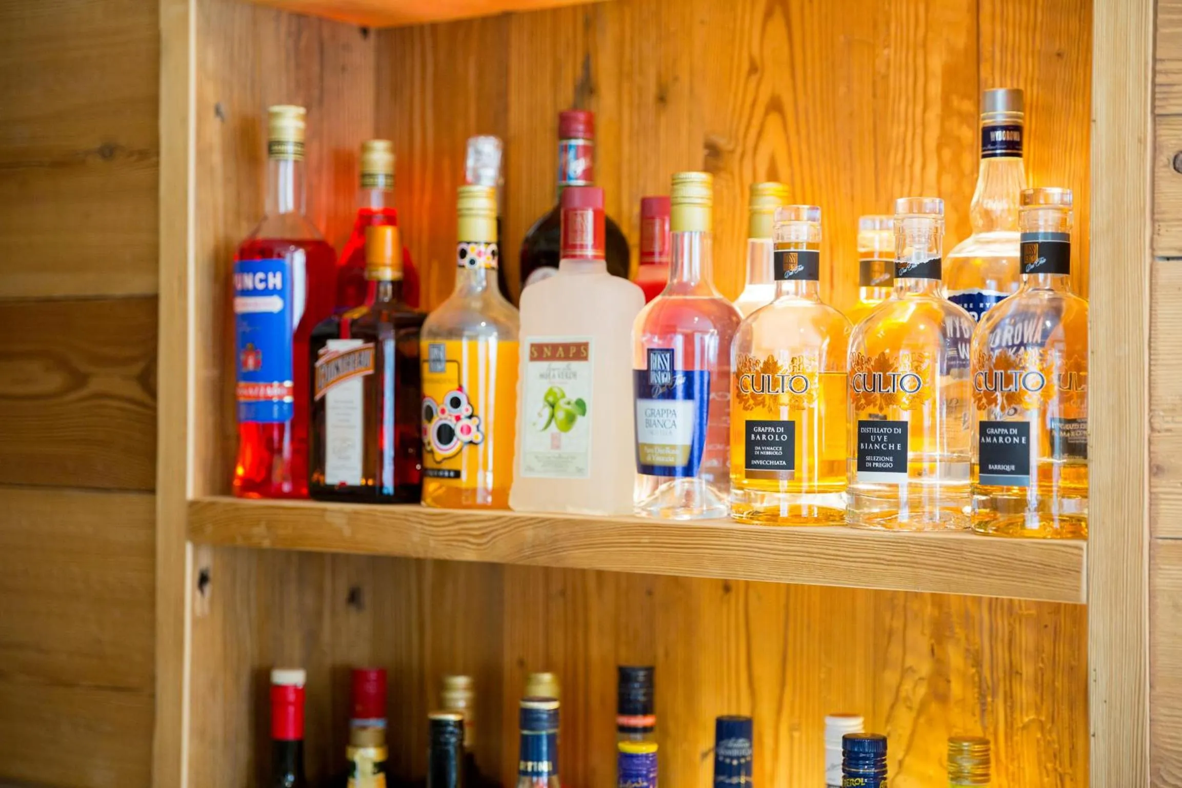 Lounge or bar in Green Rose