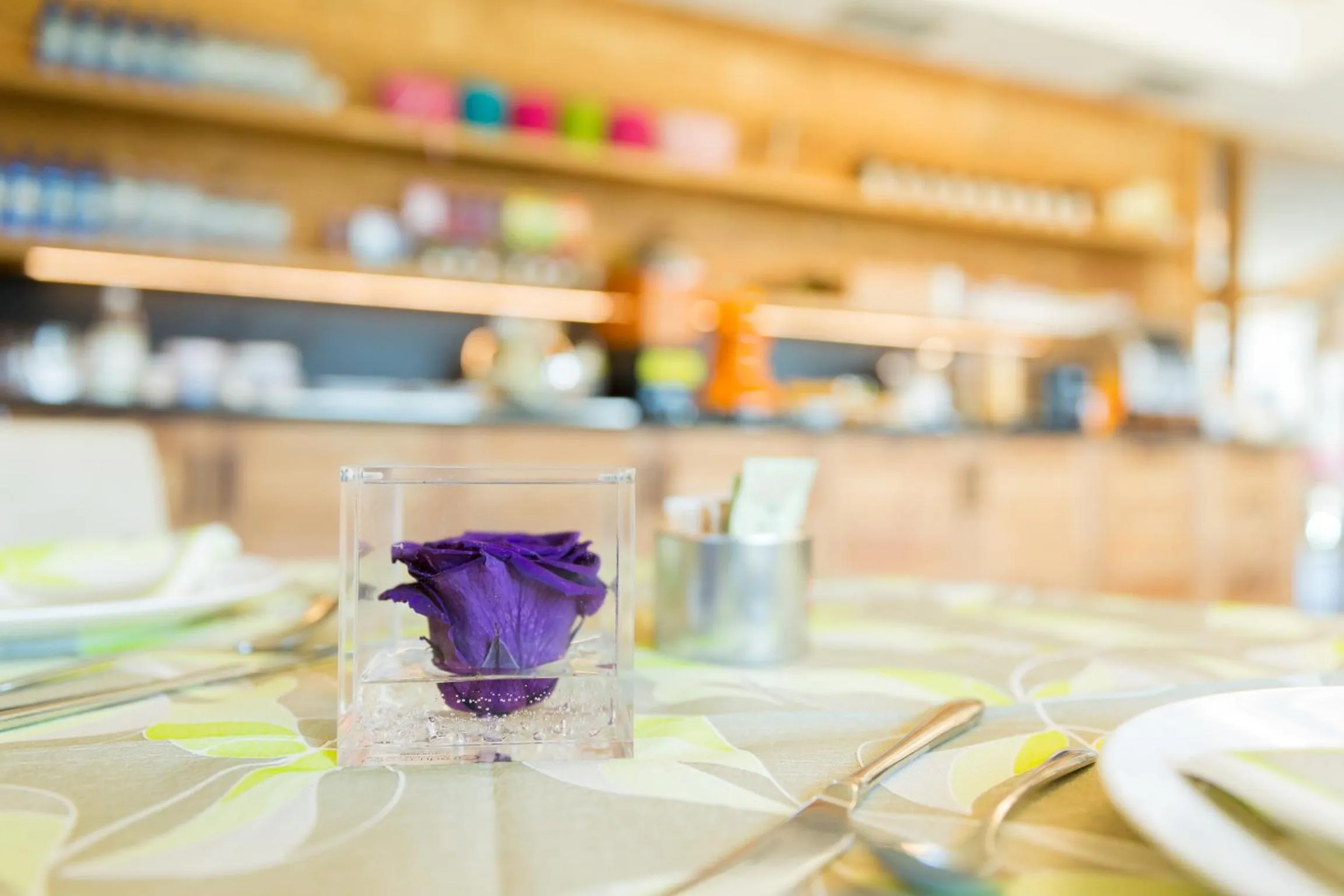 Lounge or bar in Green Rose