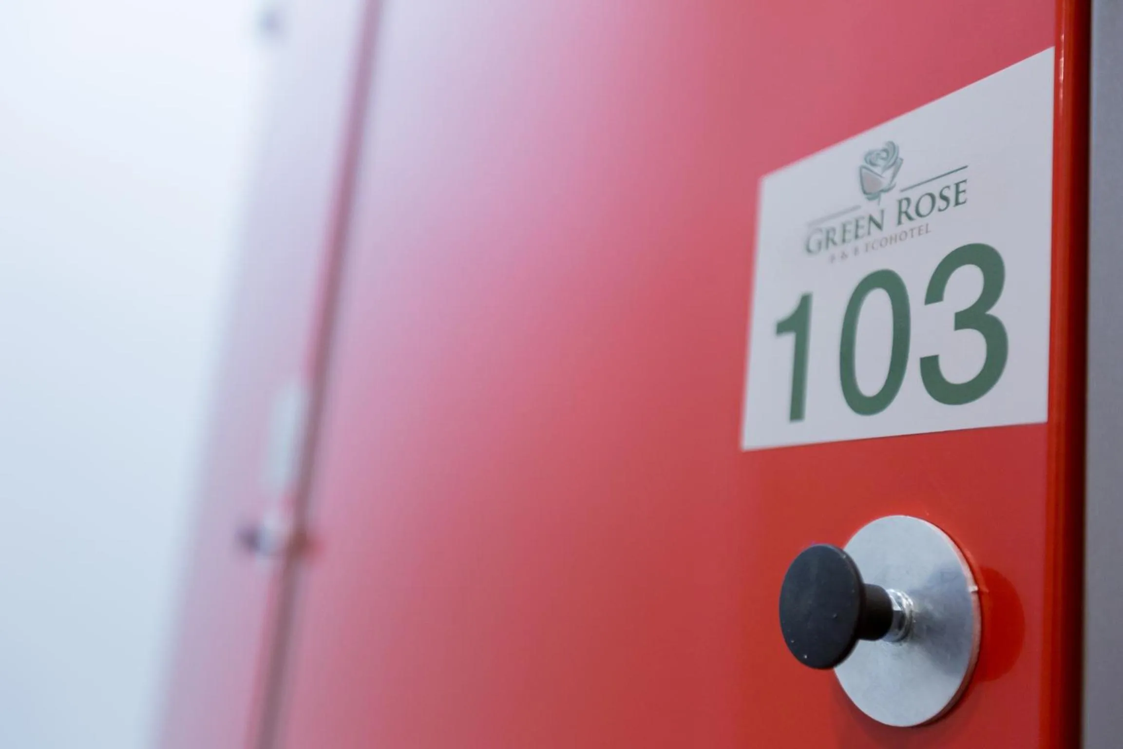 Skiing in Green Rose