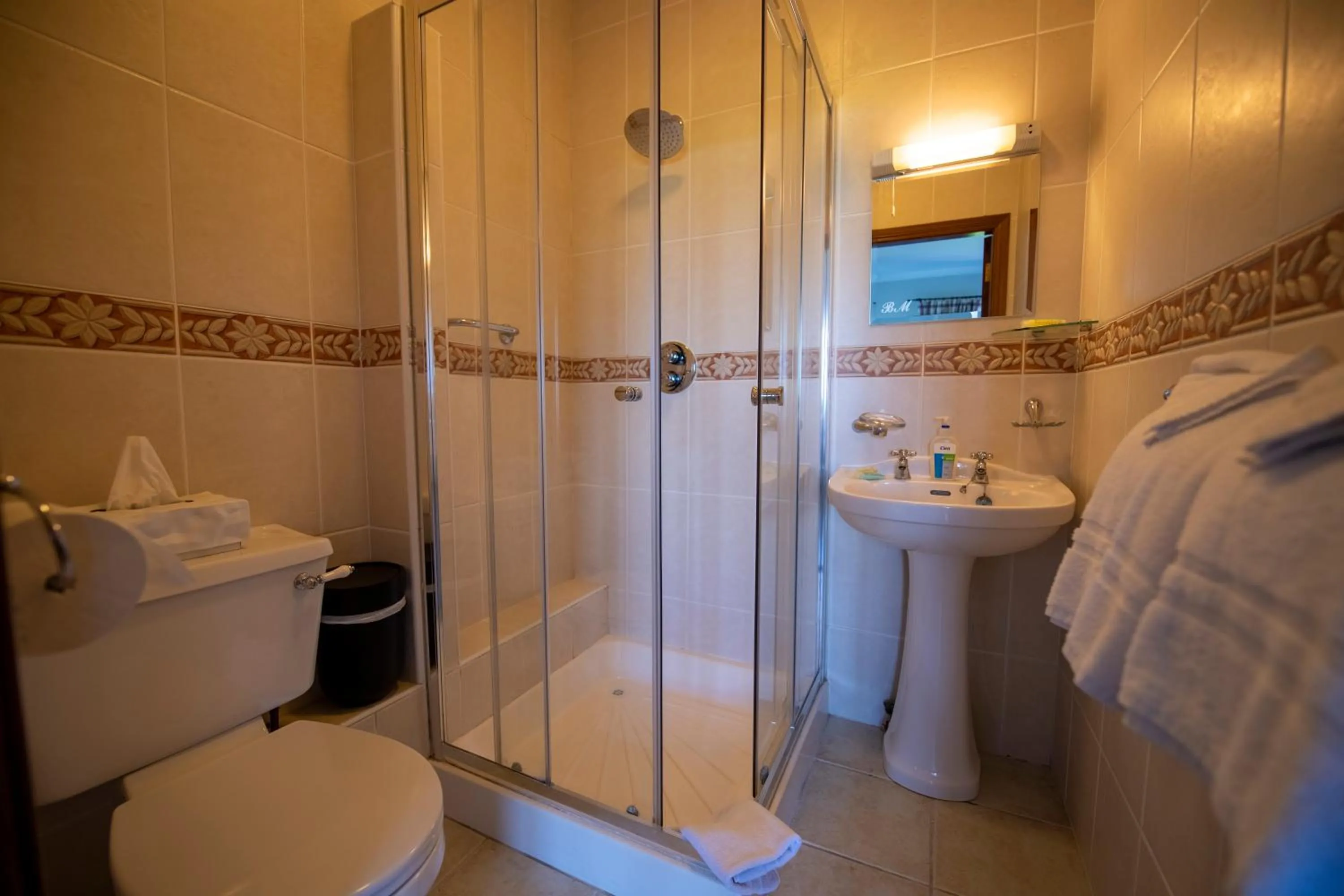 Shower in Bunratty Meadows Bed & Breakfast