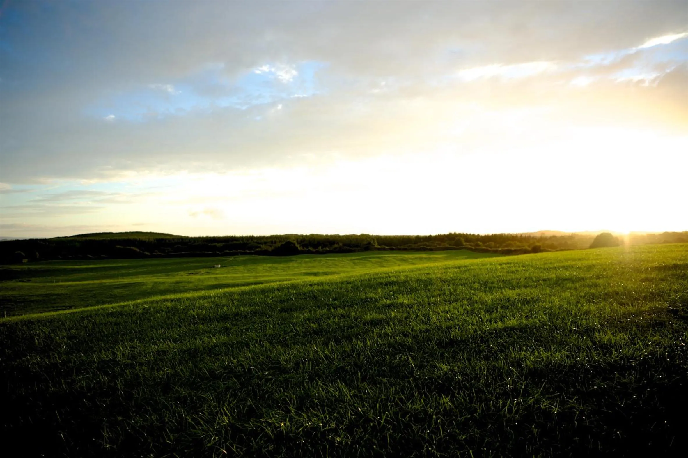 Natural landscape in Bunratty Meadows Bed & Breakfast