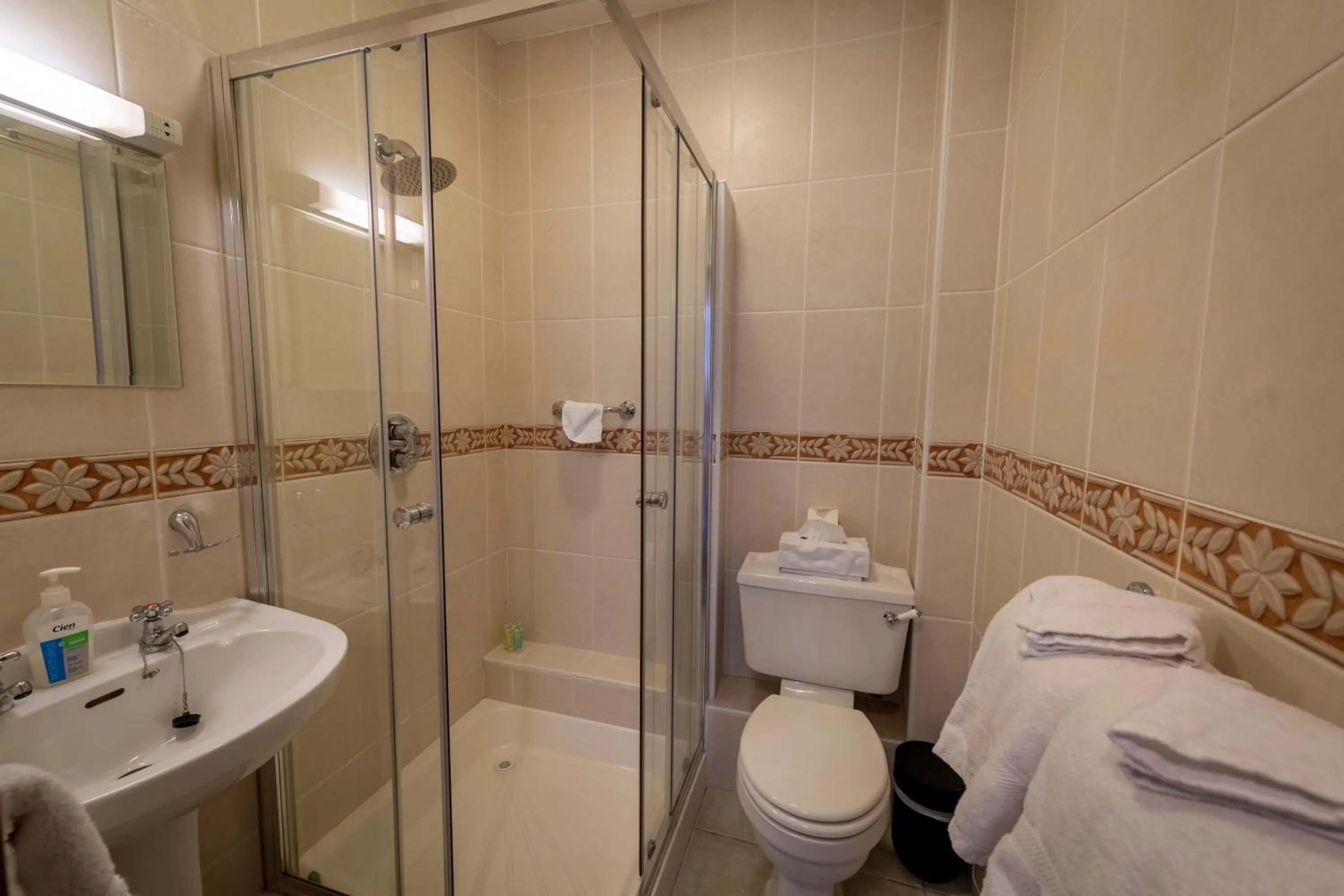 Shower in Bunratty Meadows Bed & Breakfast
