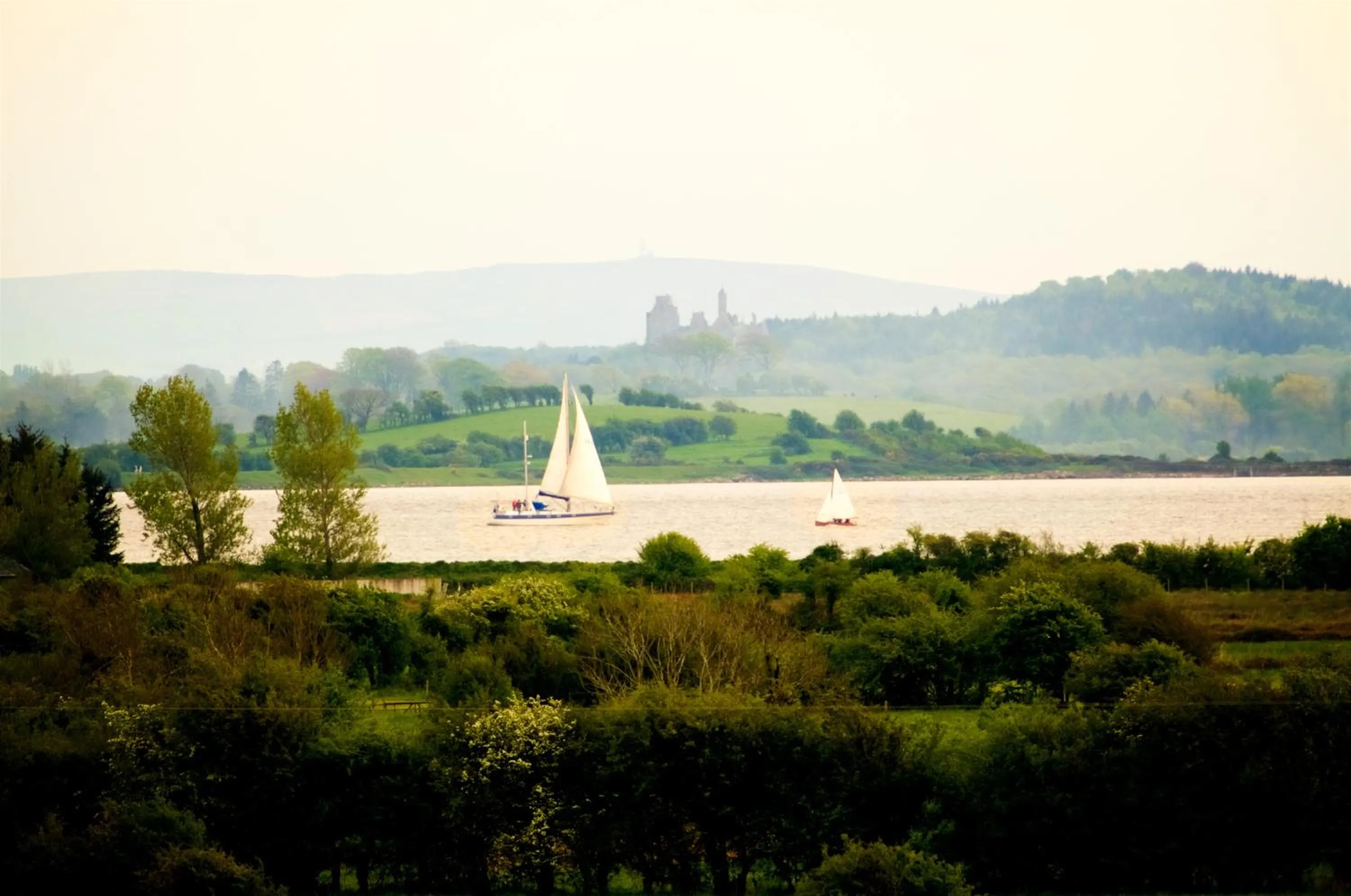 Natural landscape in Bunratty Meadows Bed & Breakfast