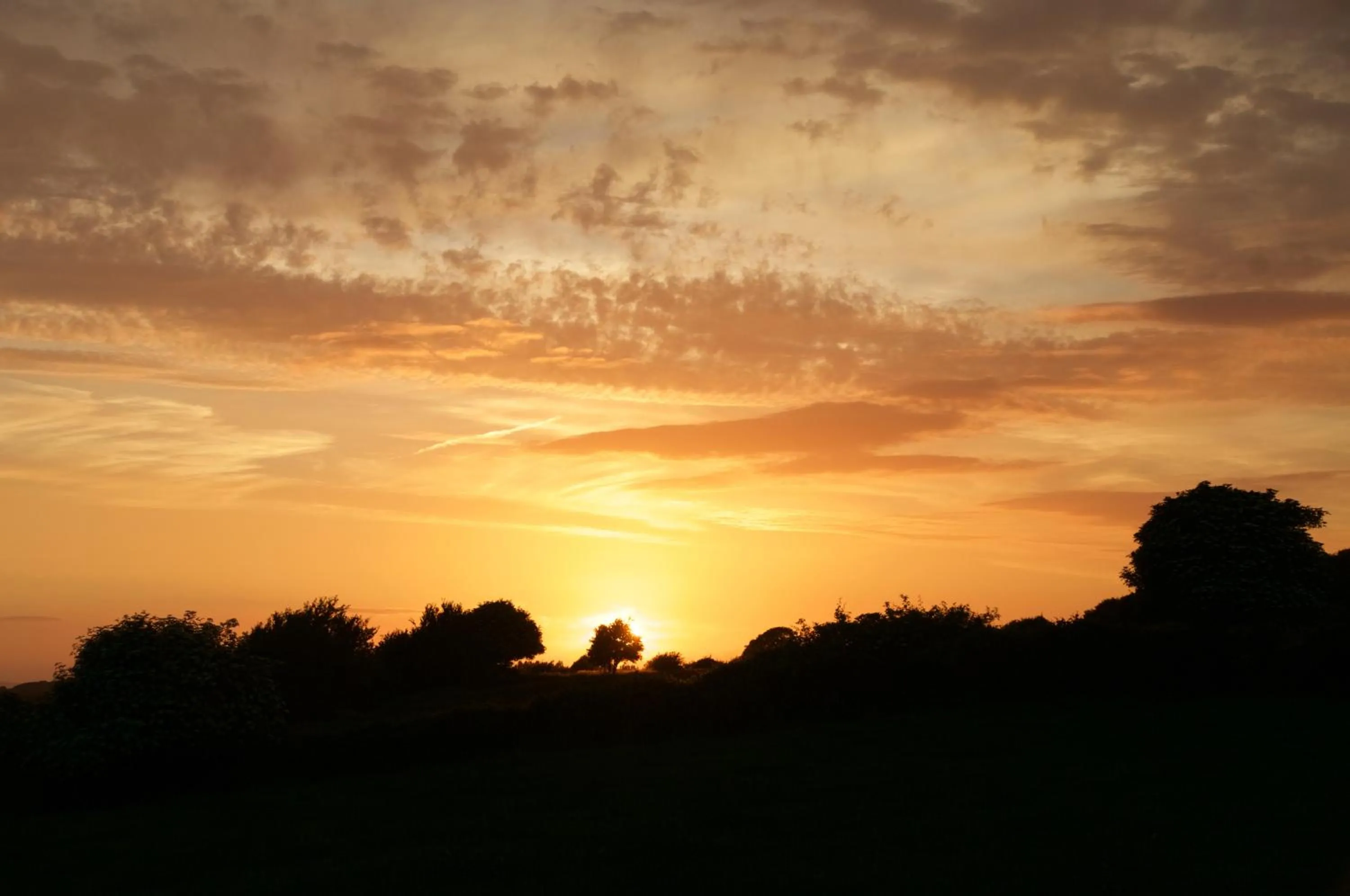 Natural landscape in Bunratty Meadows Bed & Breakfast