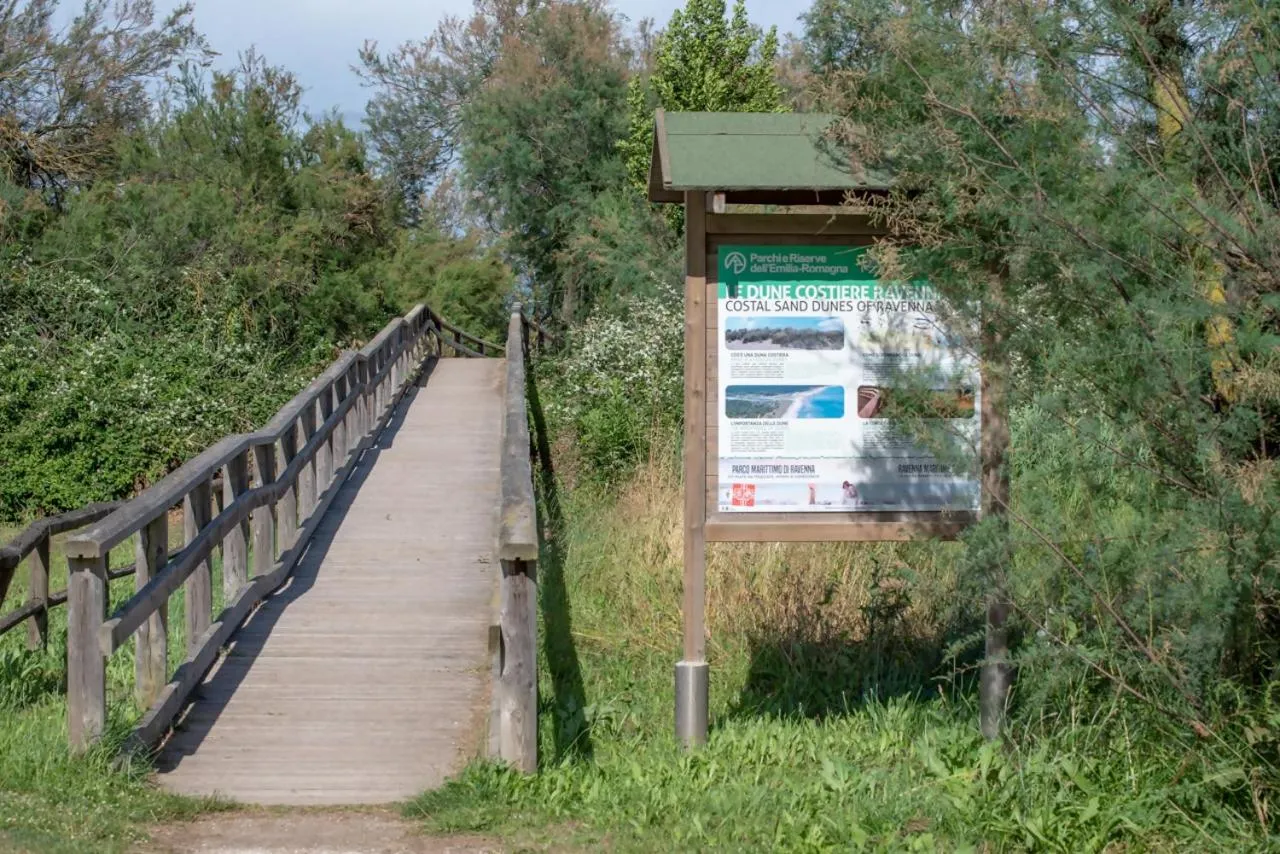 Natural landscape in Azzurro lido adriano vista mare