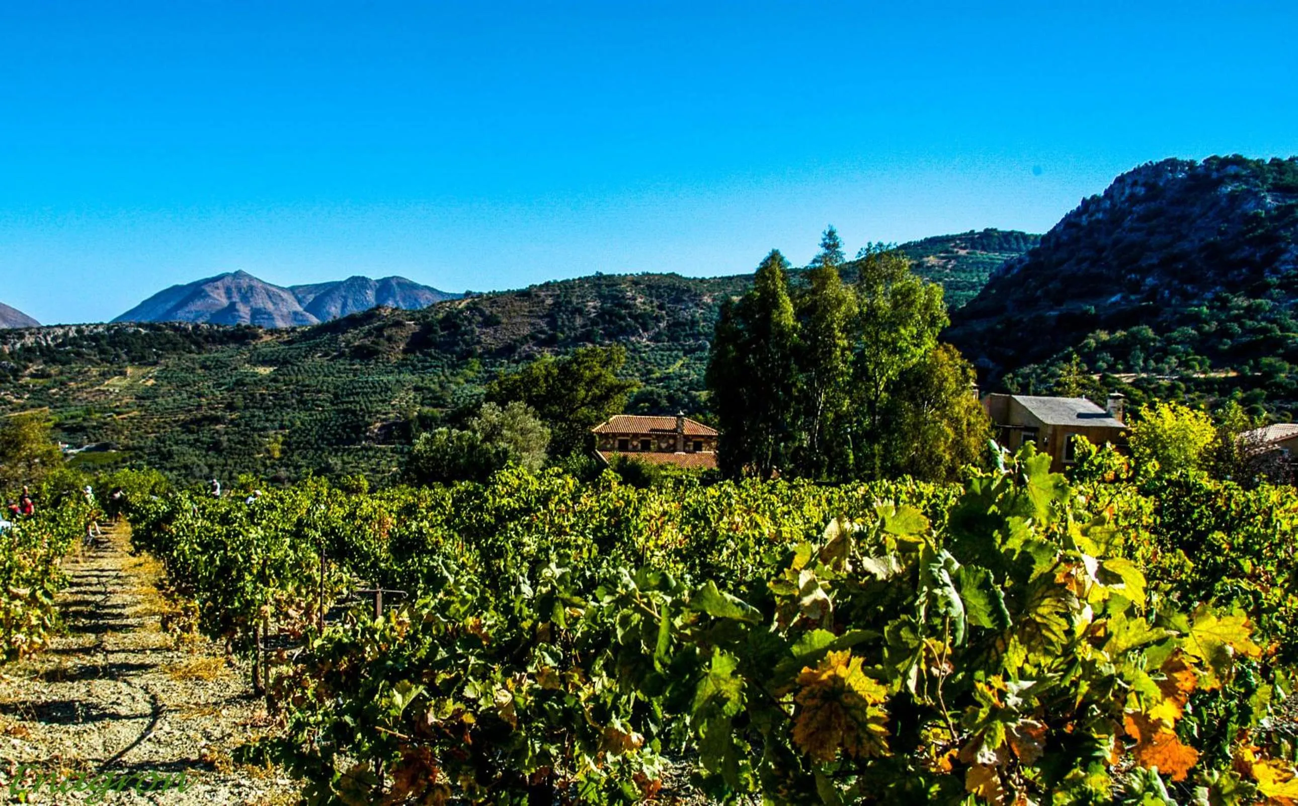 Other in Enagron Ecotourism Village