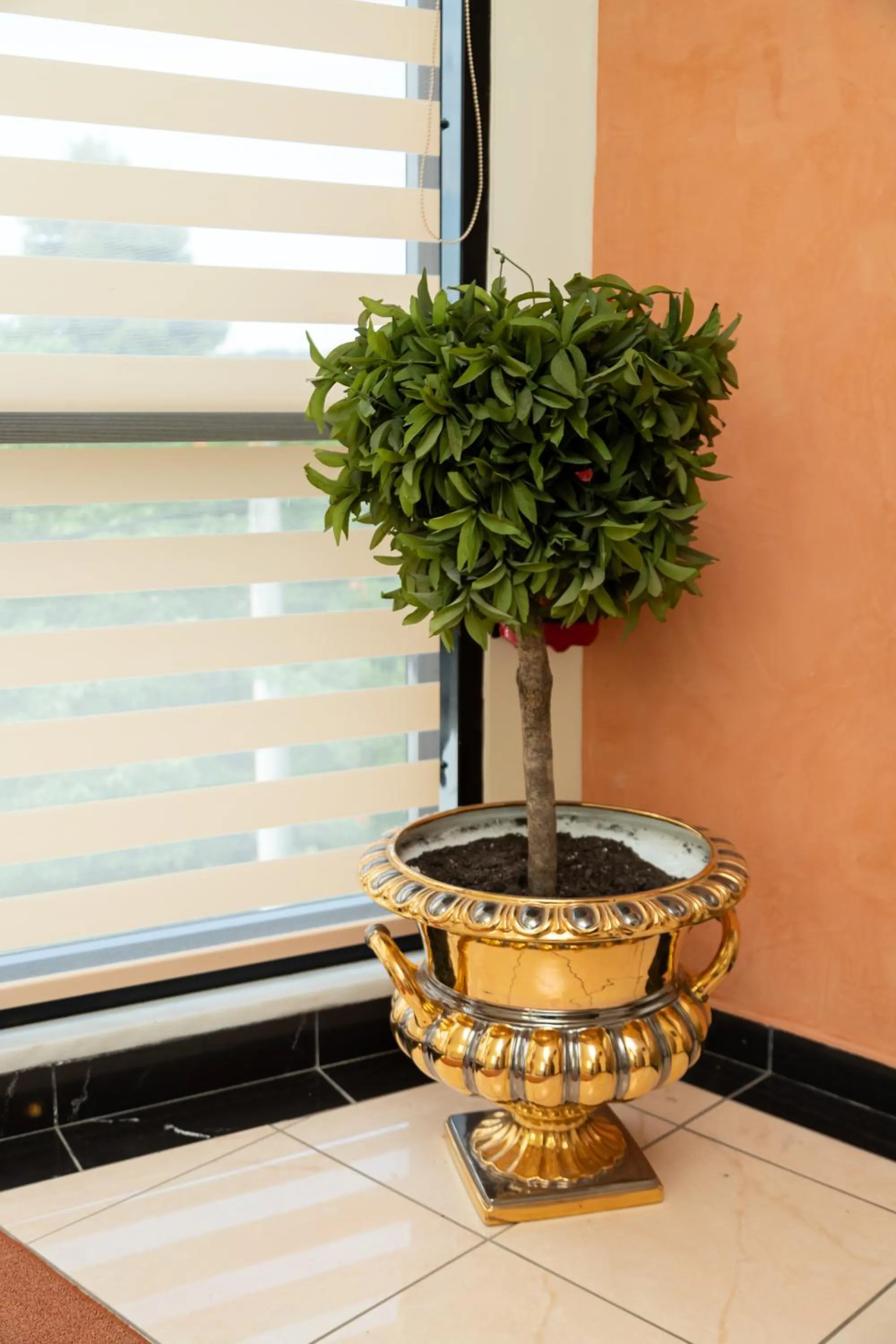 Lobby or reception in Anastazia Luxury Suites & Spa