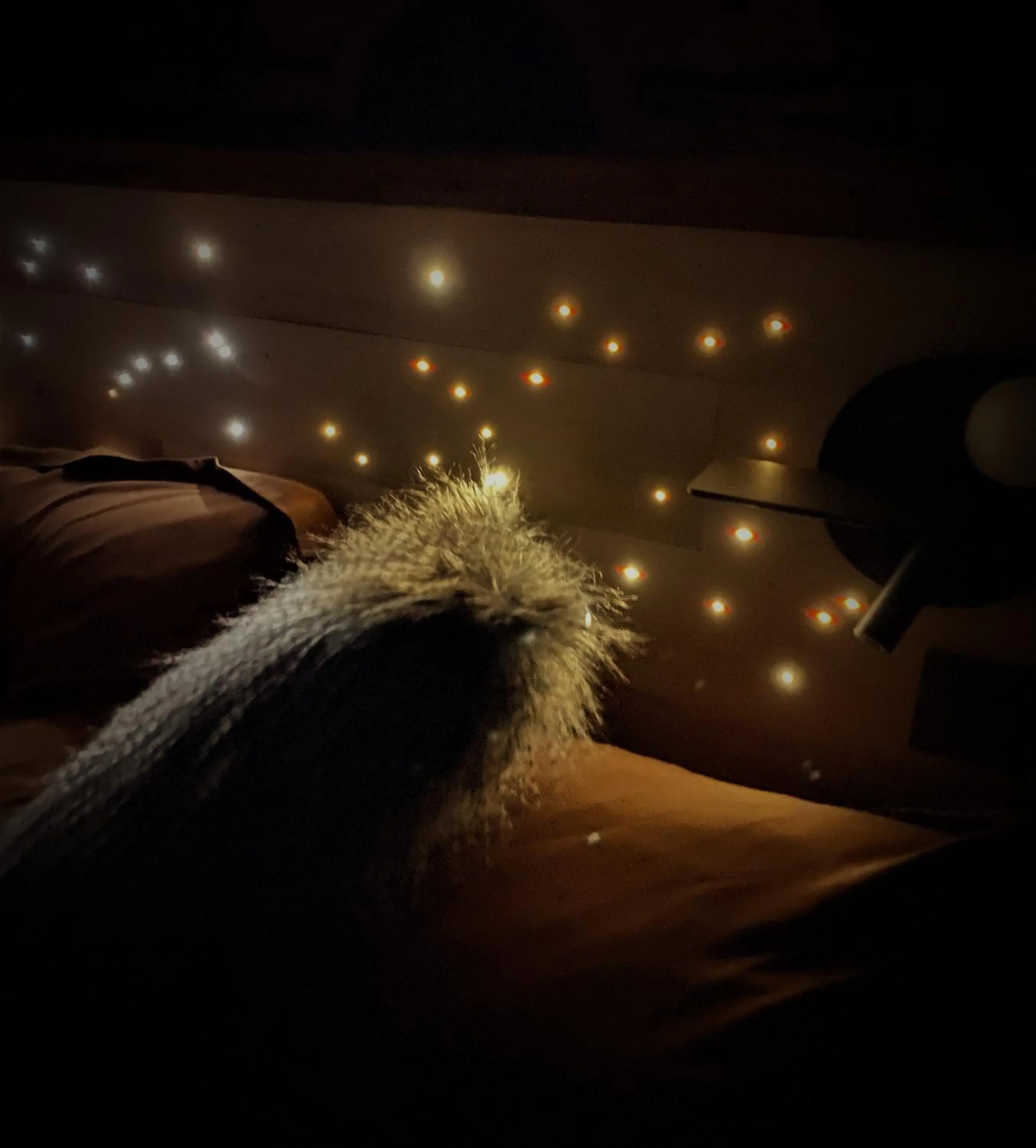 Decorative detail, Bed in Les Cabanes De Pyrene