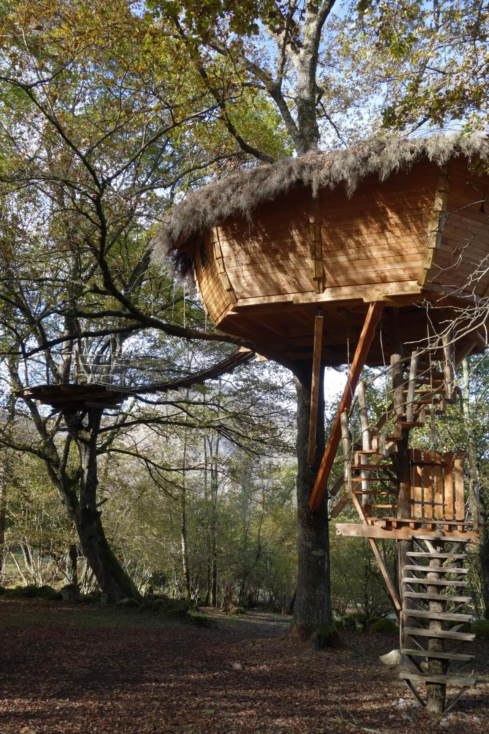 Photo of the whole room in Les Cabanes De Pyrene