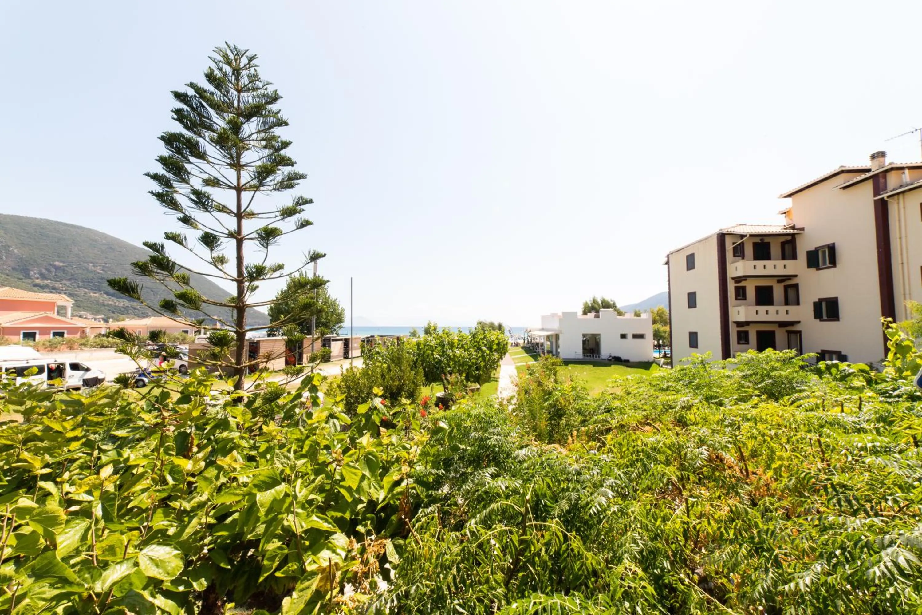Natural landscape in Hotel Odeon