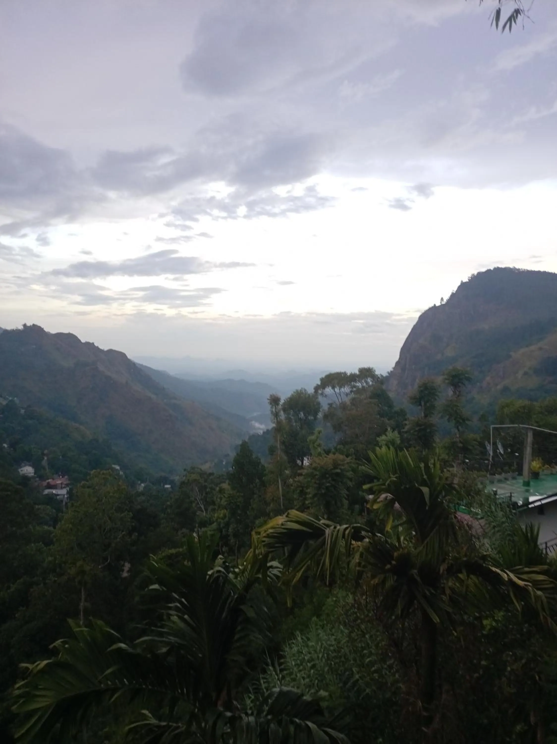 Maple home stay and cottage