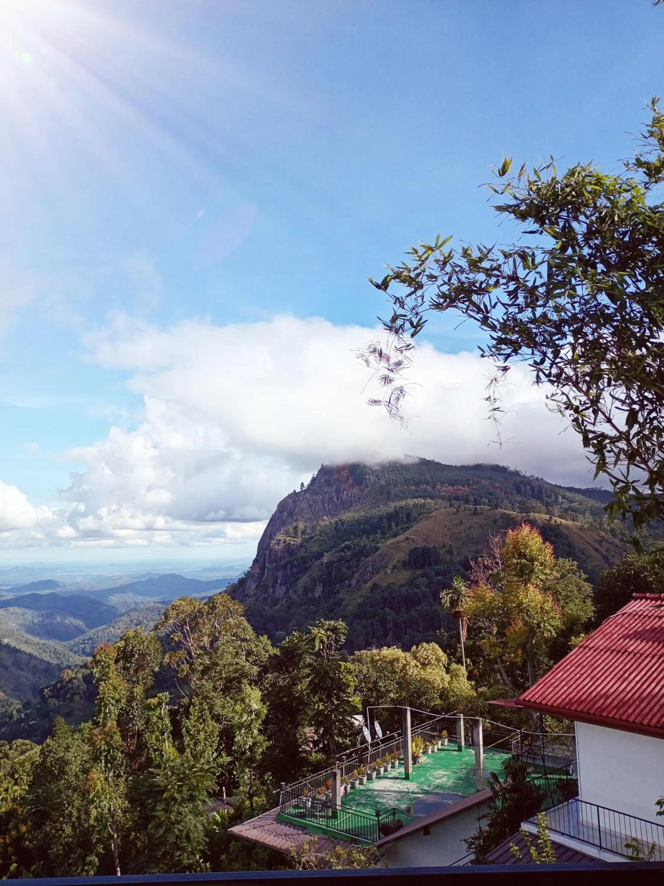 Maple home stay and cottage