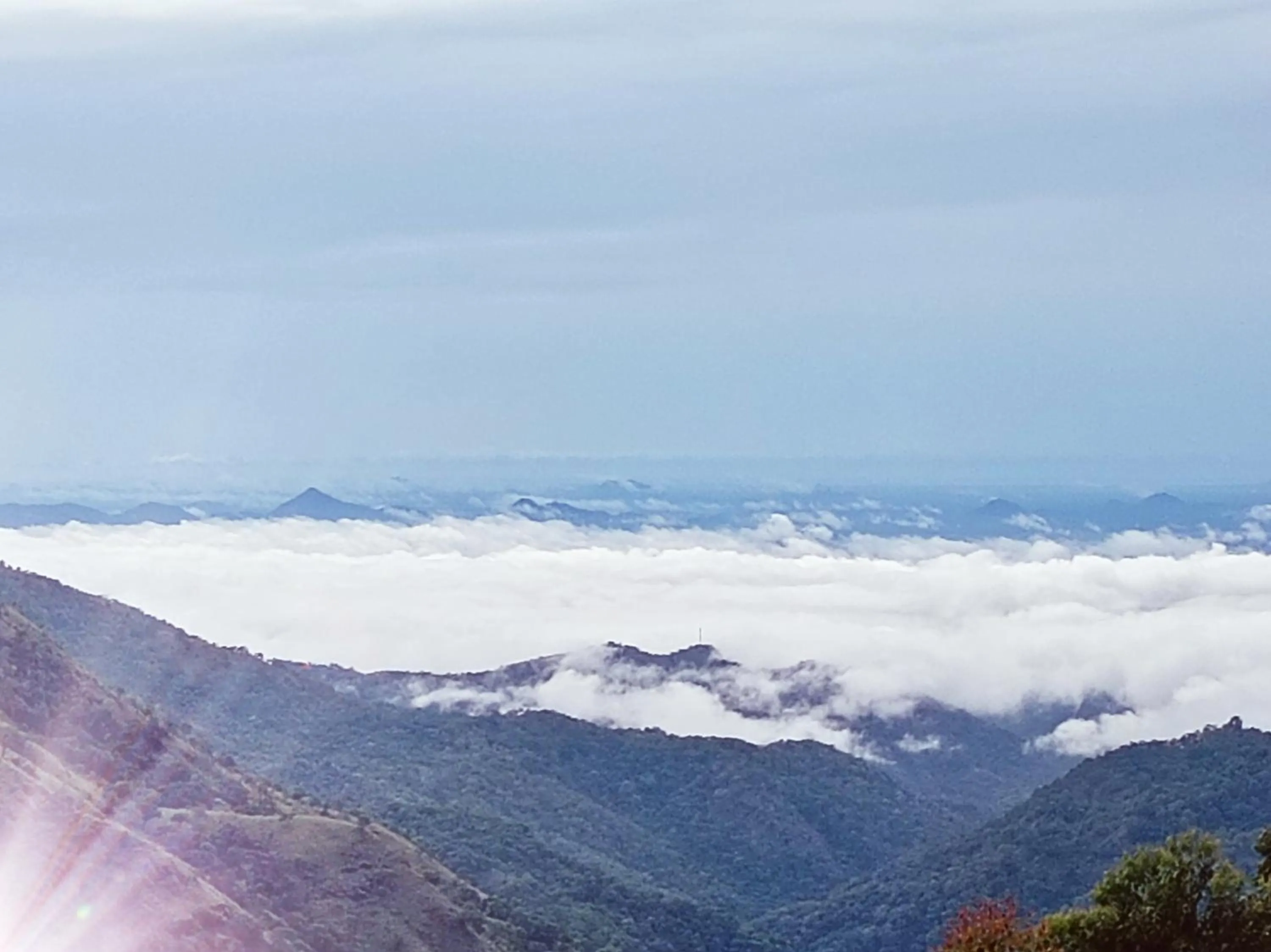 Maple home stay and cottage