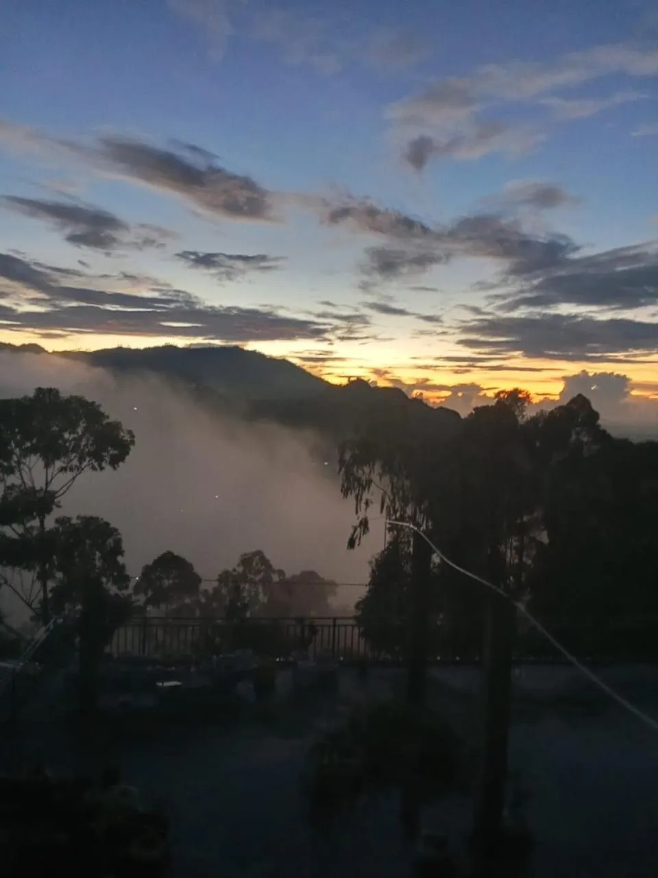 Maple home stay and cottage