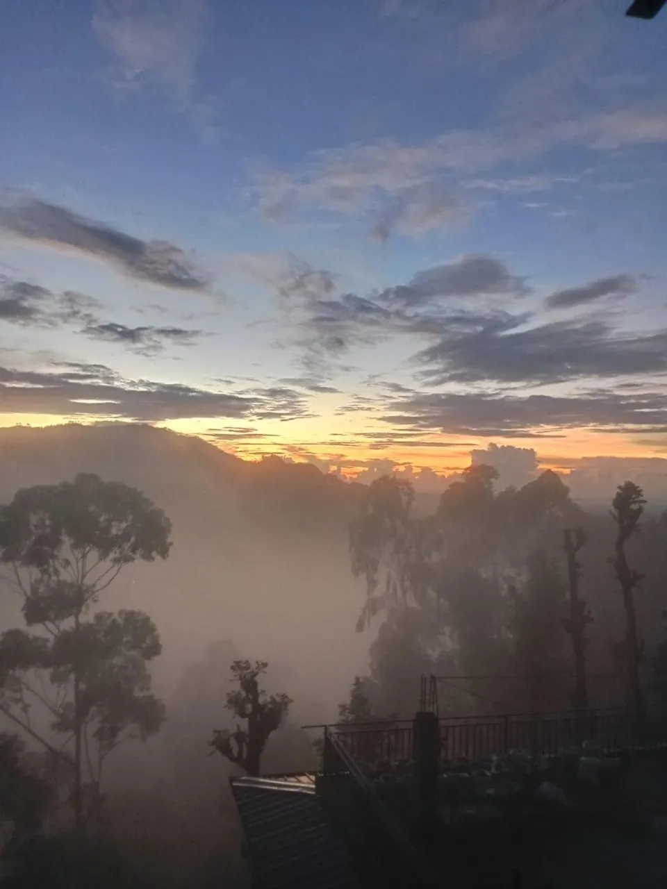 Maple home stay and cottage