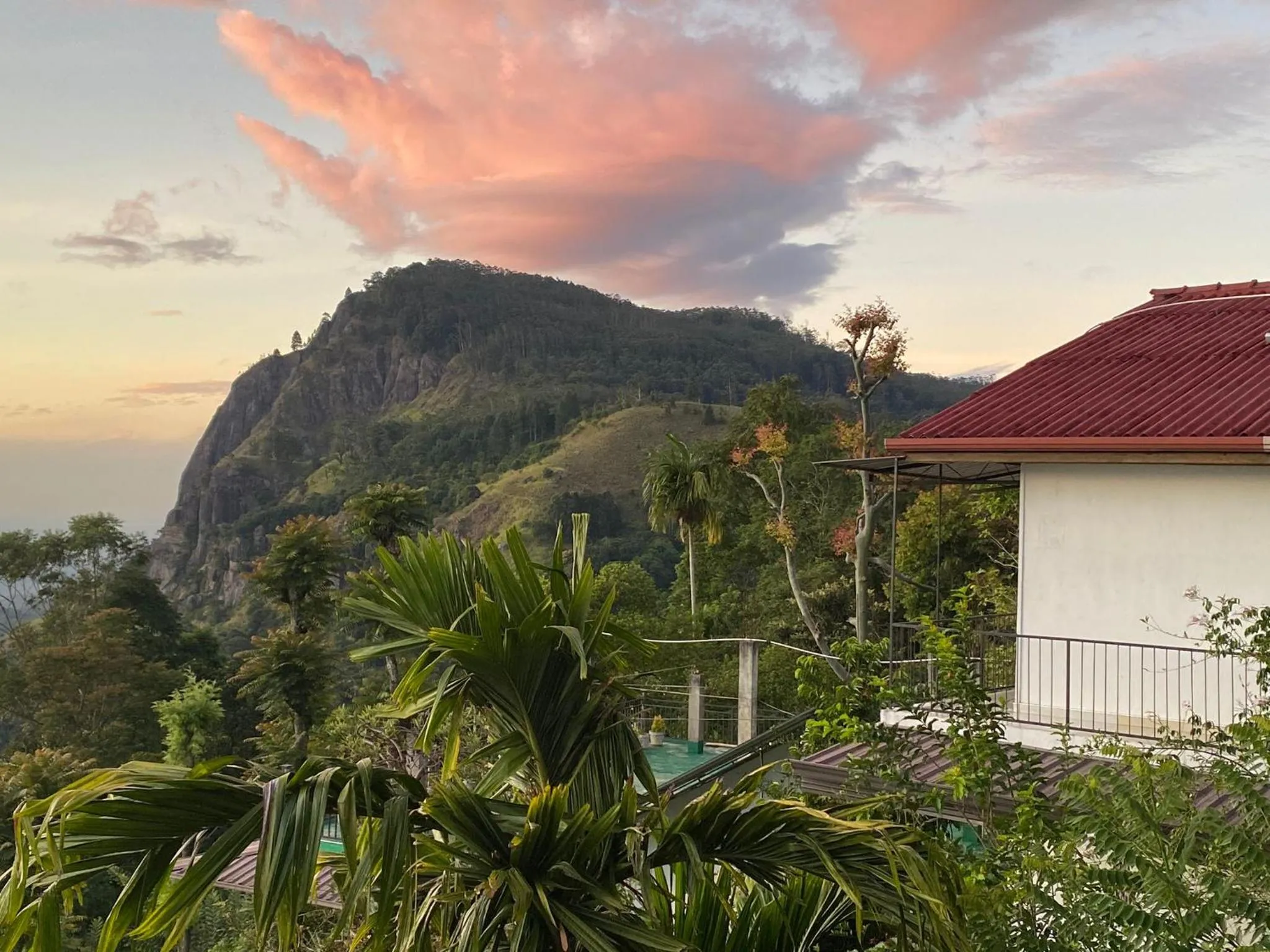 Maple home stay and cottage