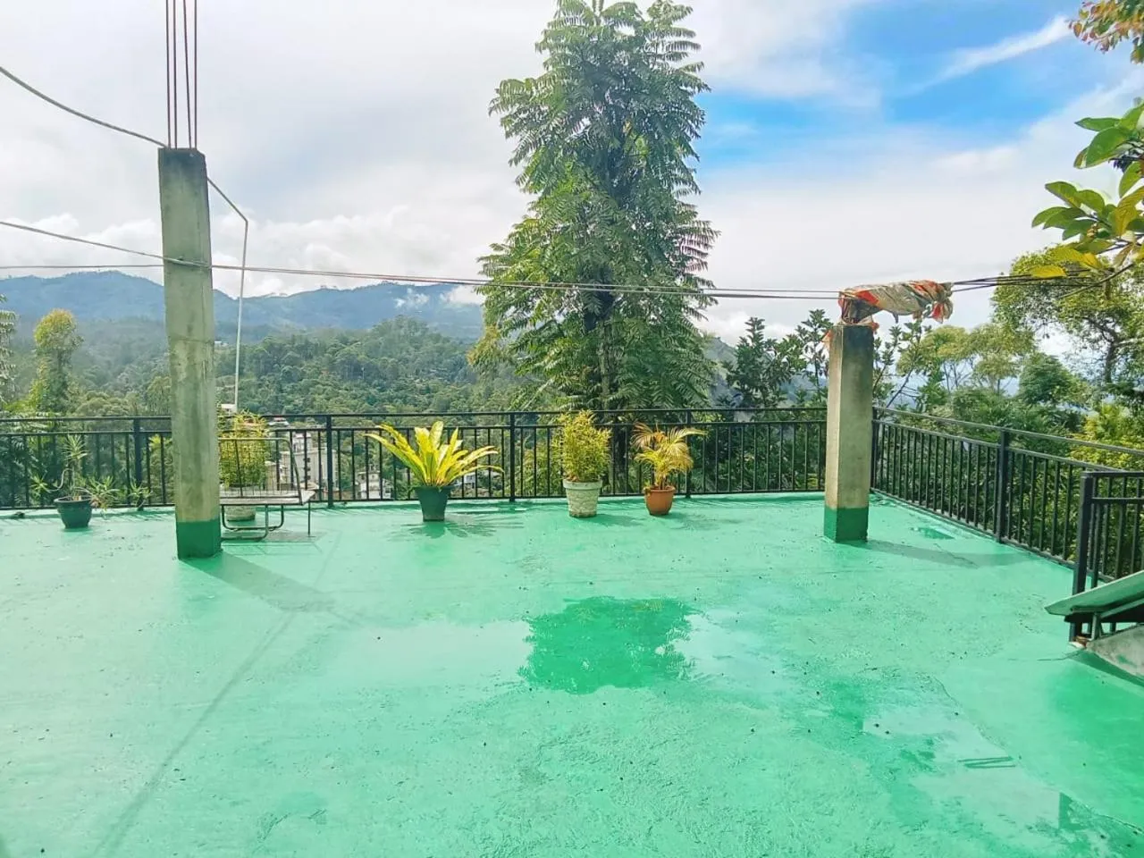 Maple home stay and cottage