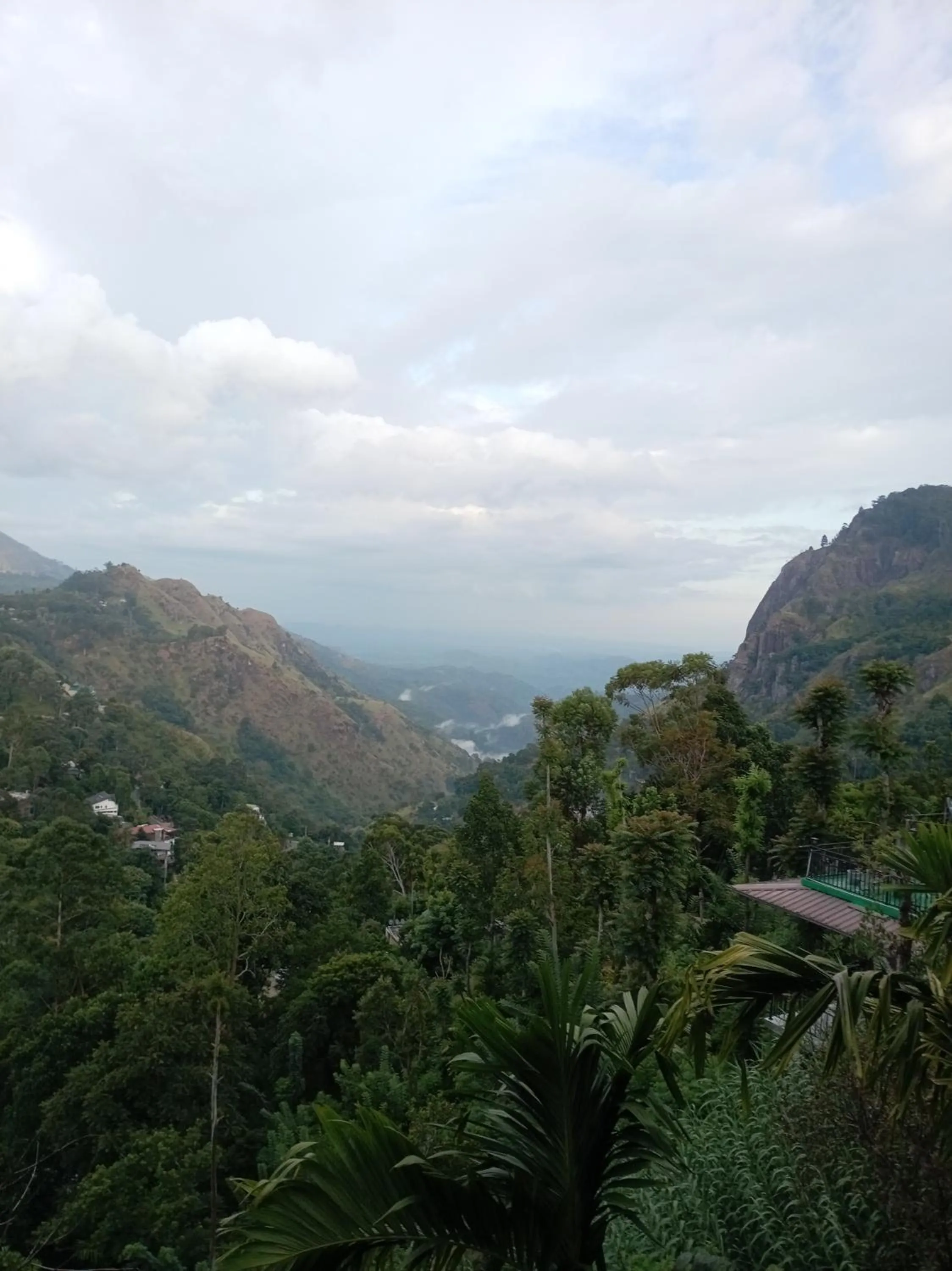 Maple home stay and cottage