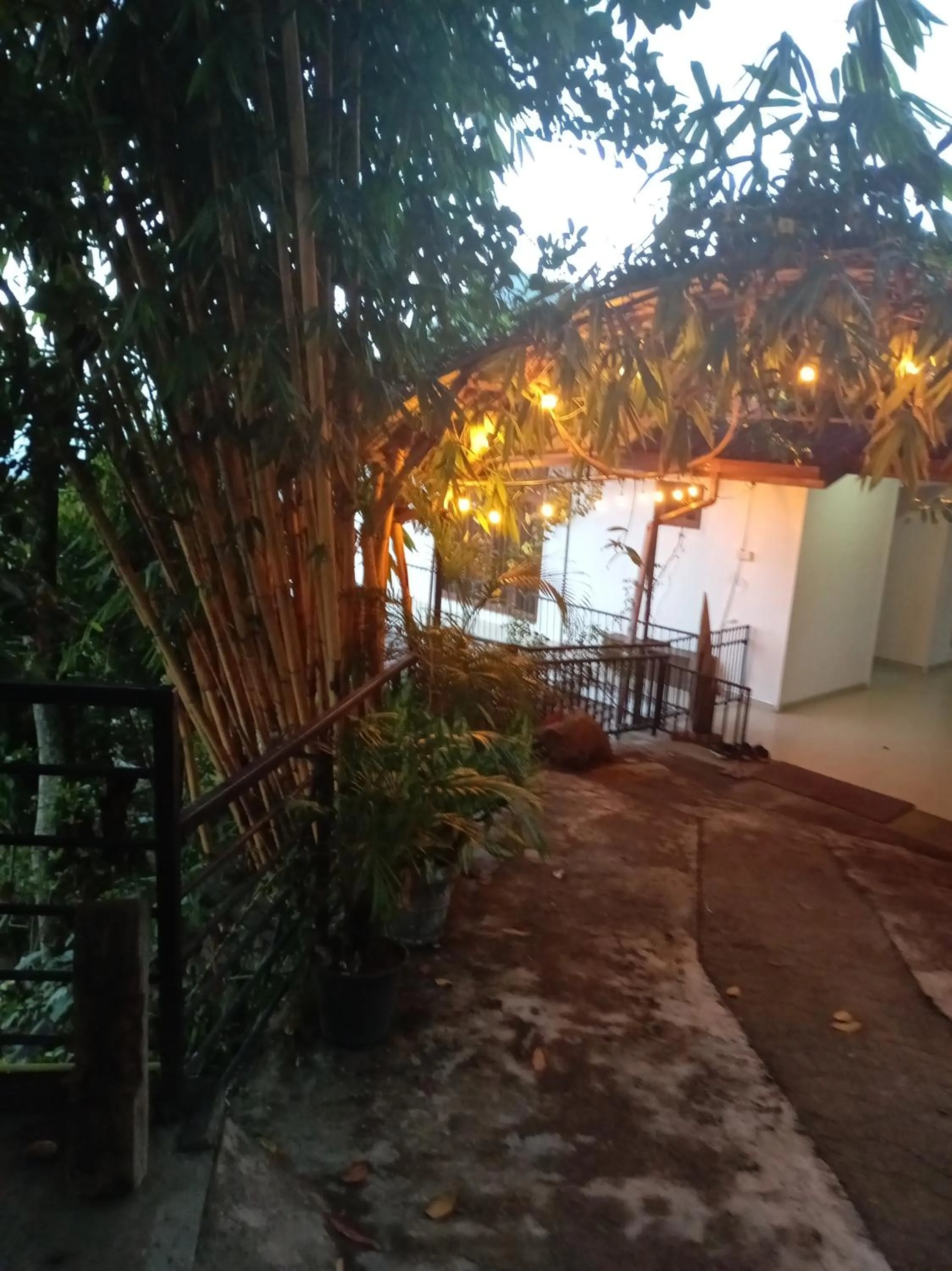 Maple home stay and cottage