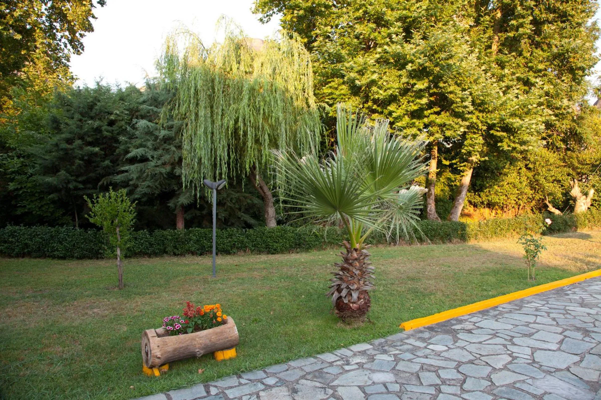 Garden in Spanias Hotel