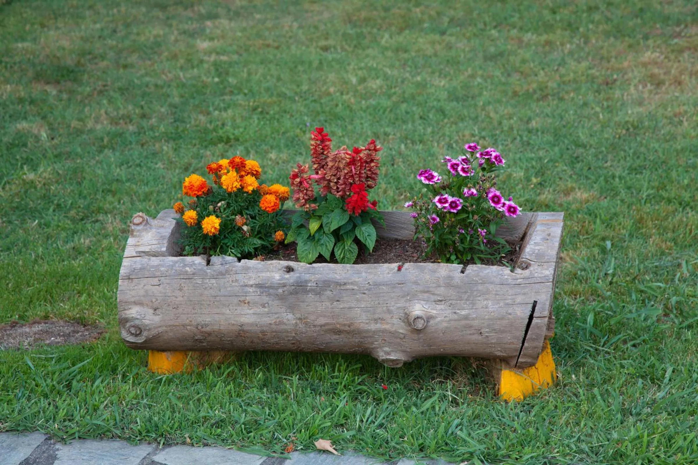 Garden in Spanias Hotel