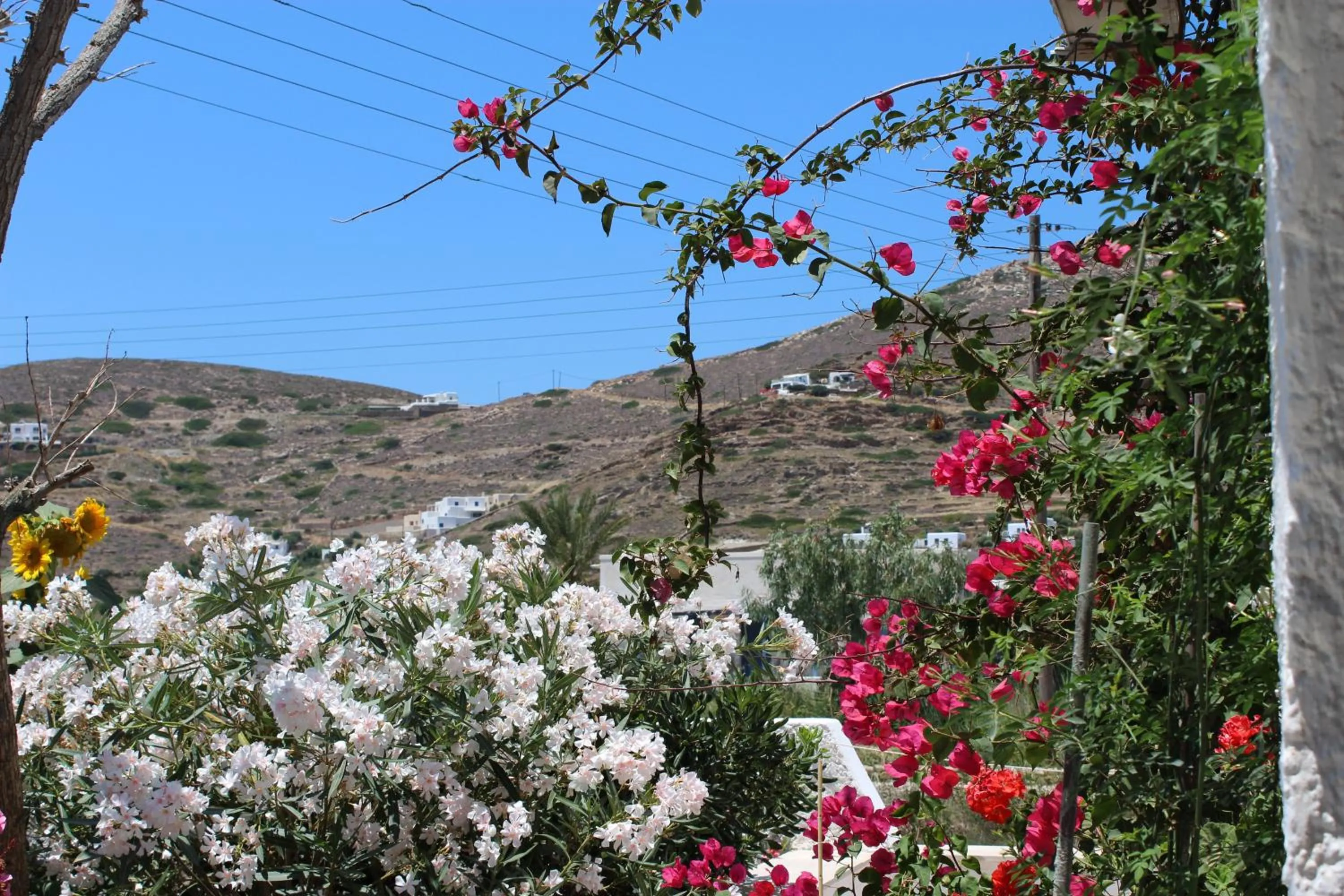 Mountain view in Mare Monte