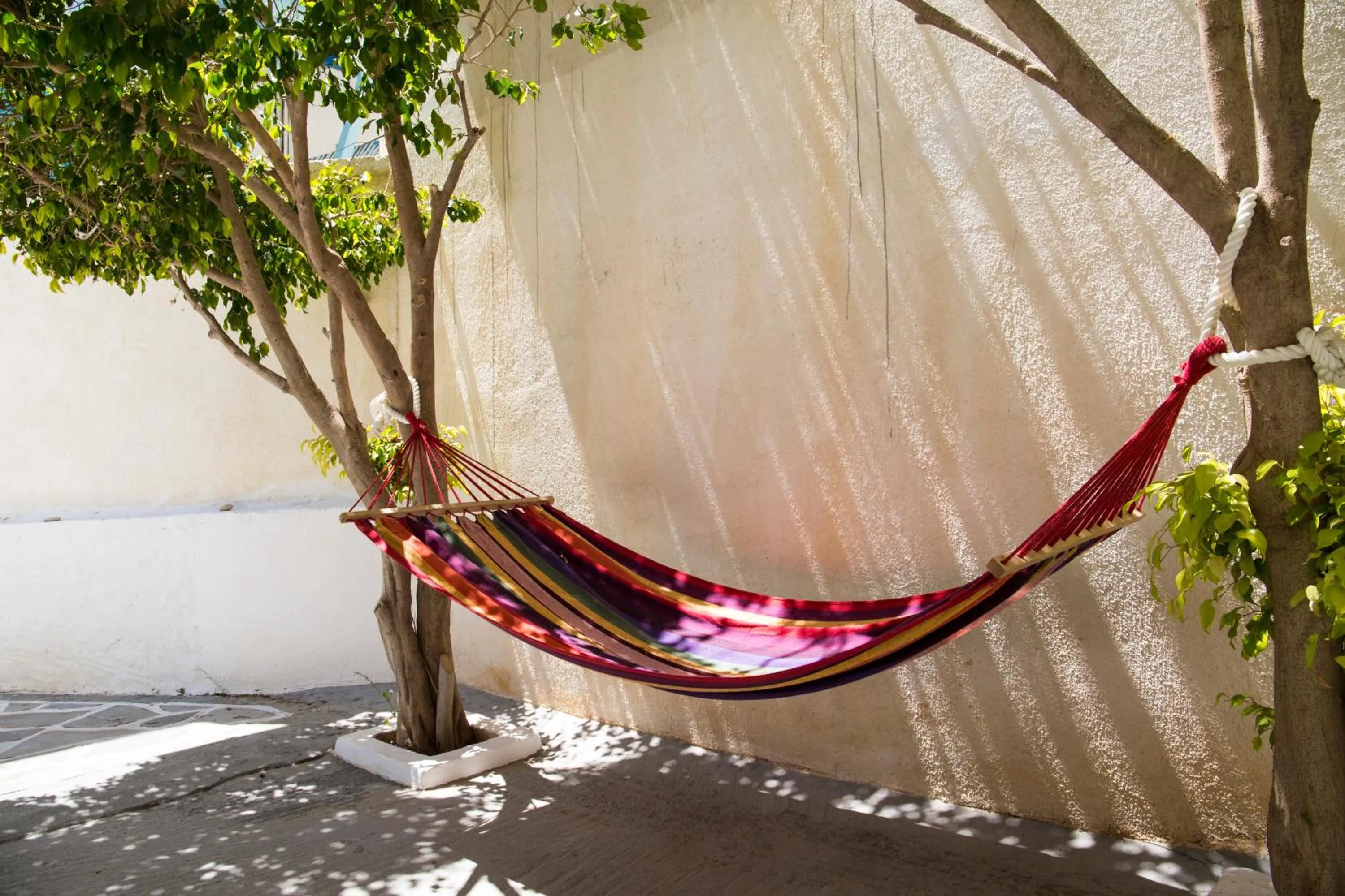 Property building in Bay's