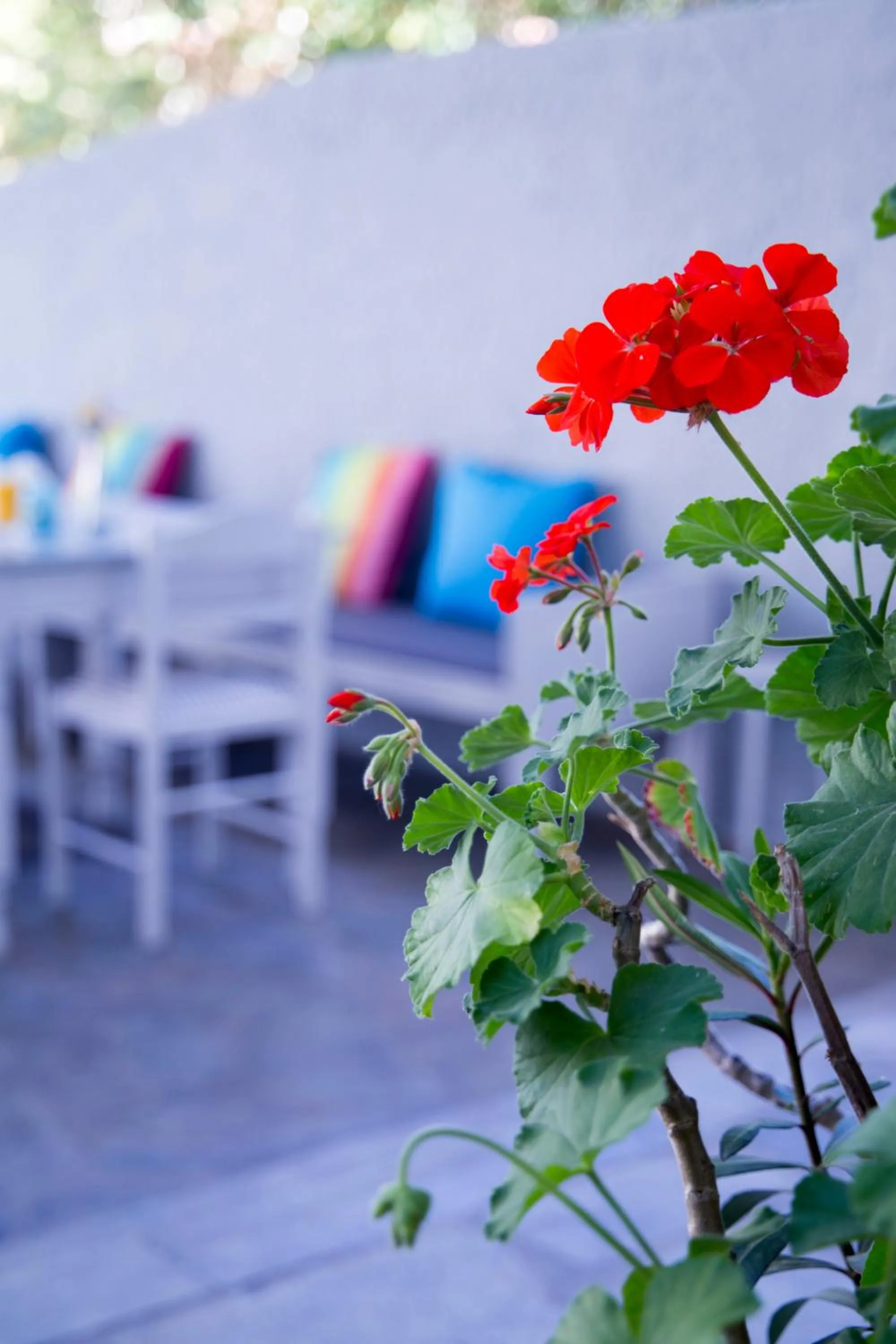 Decorative detail in Bay's