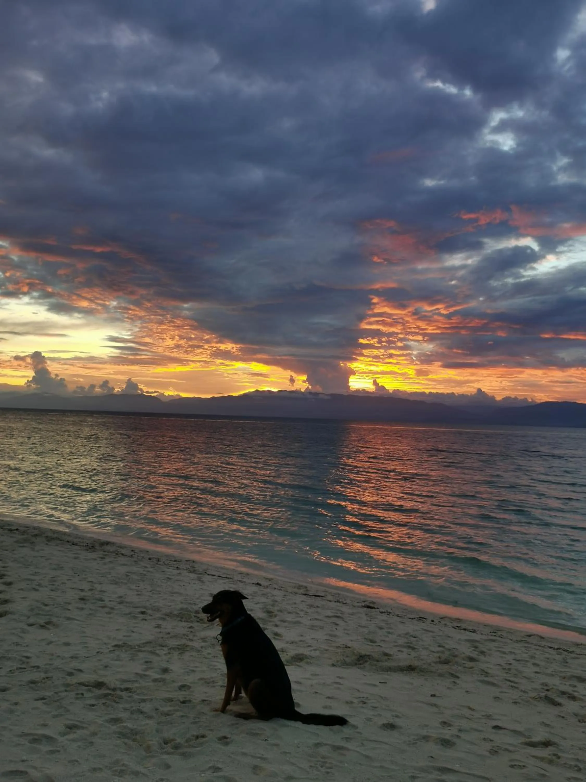 Beach in Ravenala Beach Bungalows