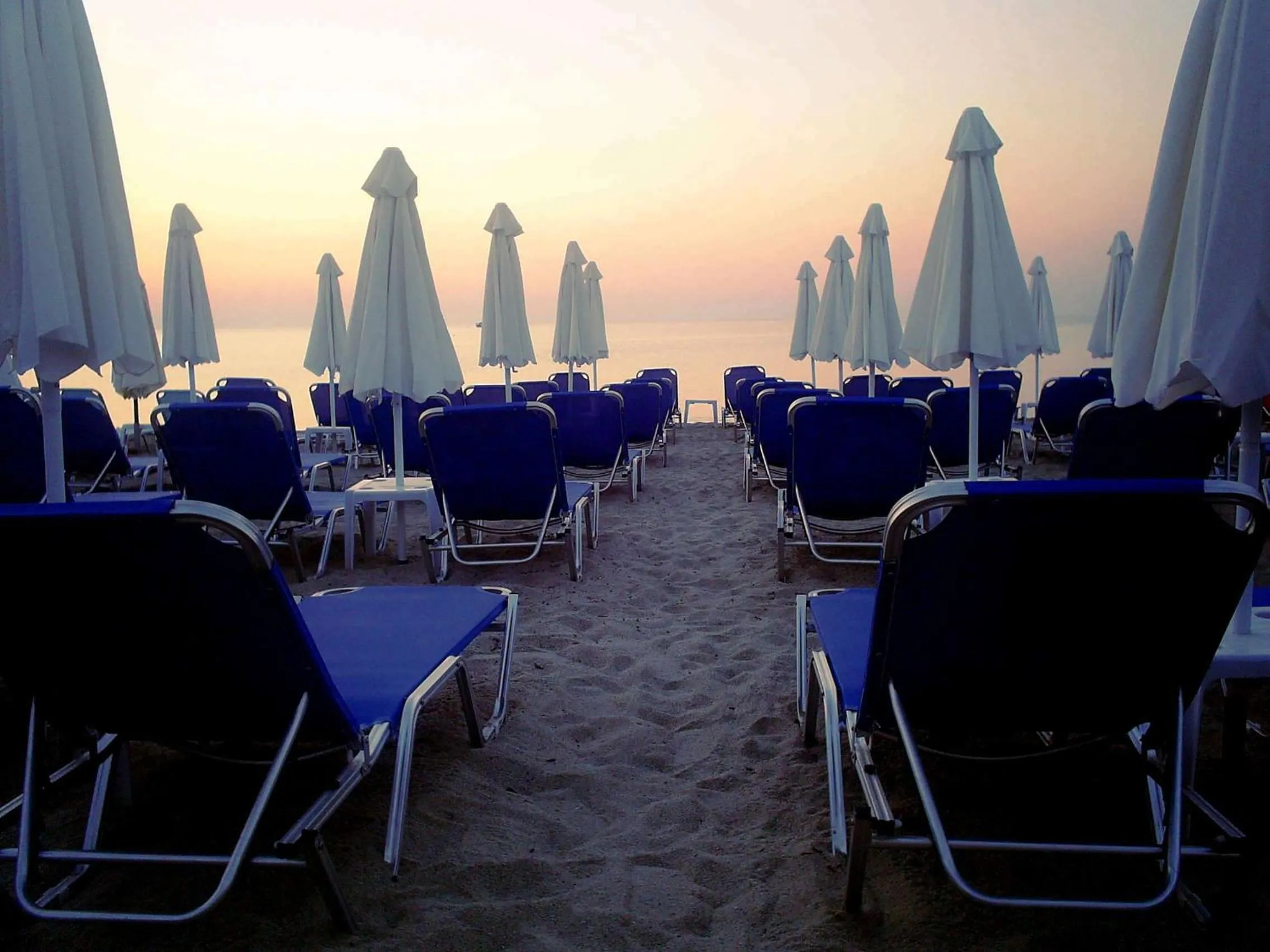 Area and facilities in Hotel White Rose Beach