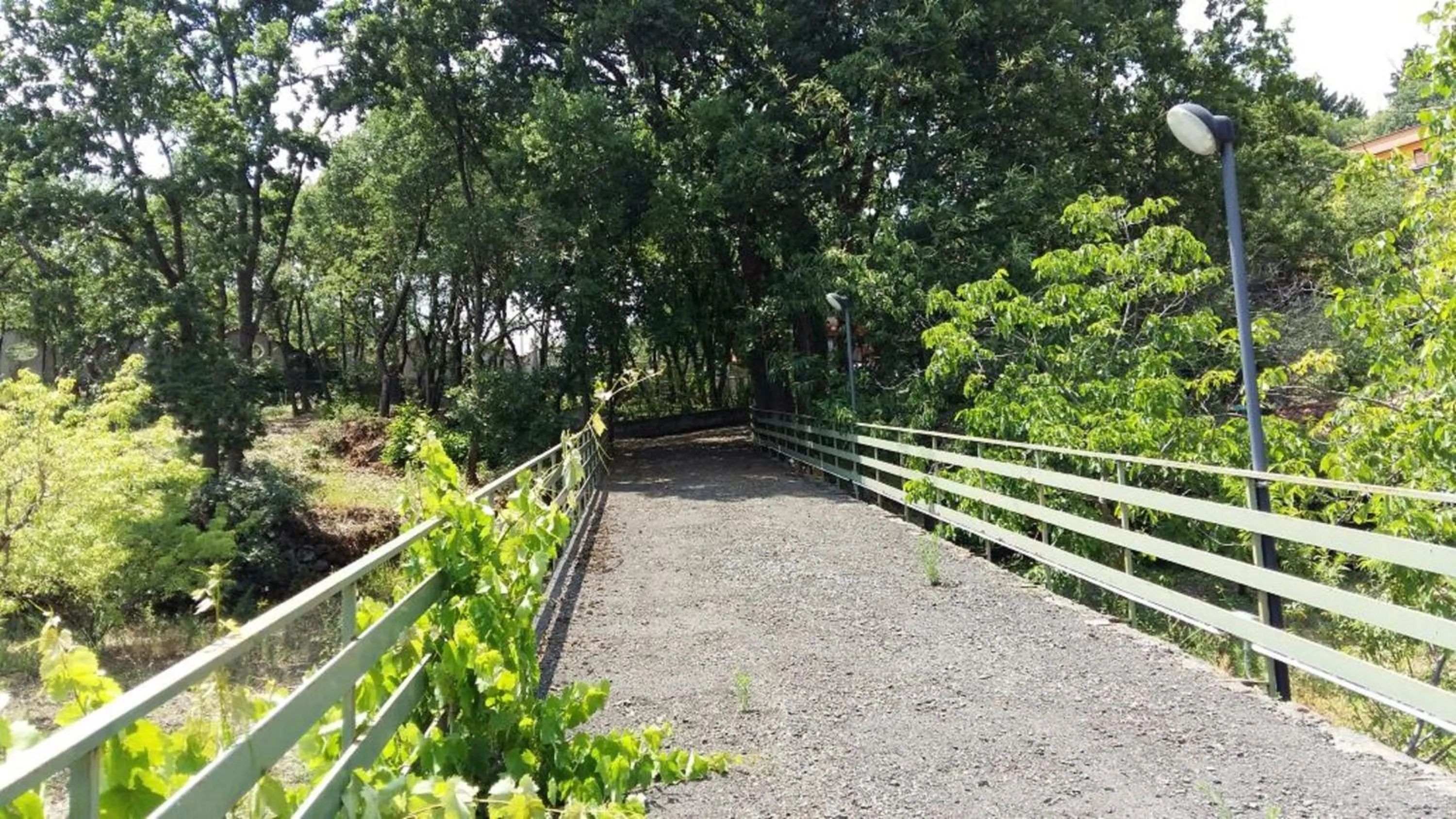 Garden in B&B Le Tre Rose Di Maria