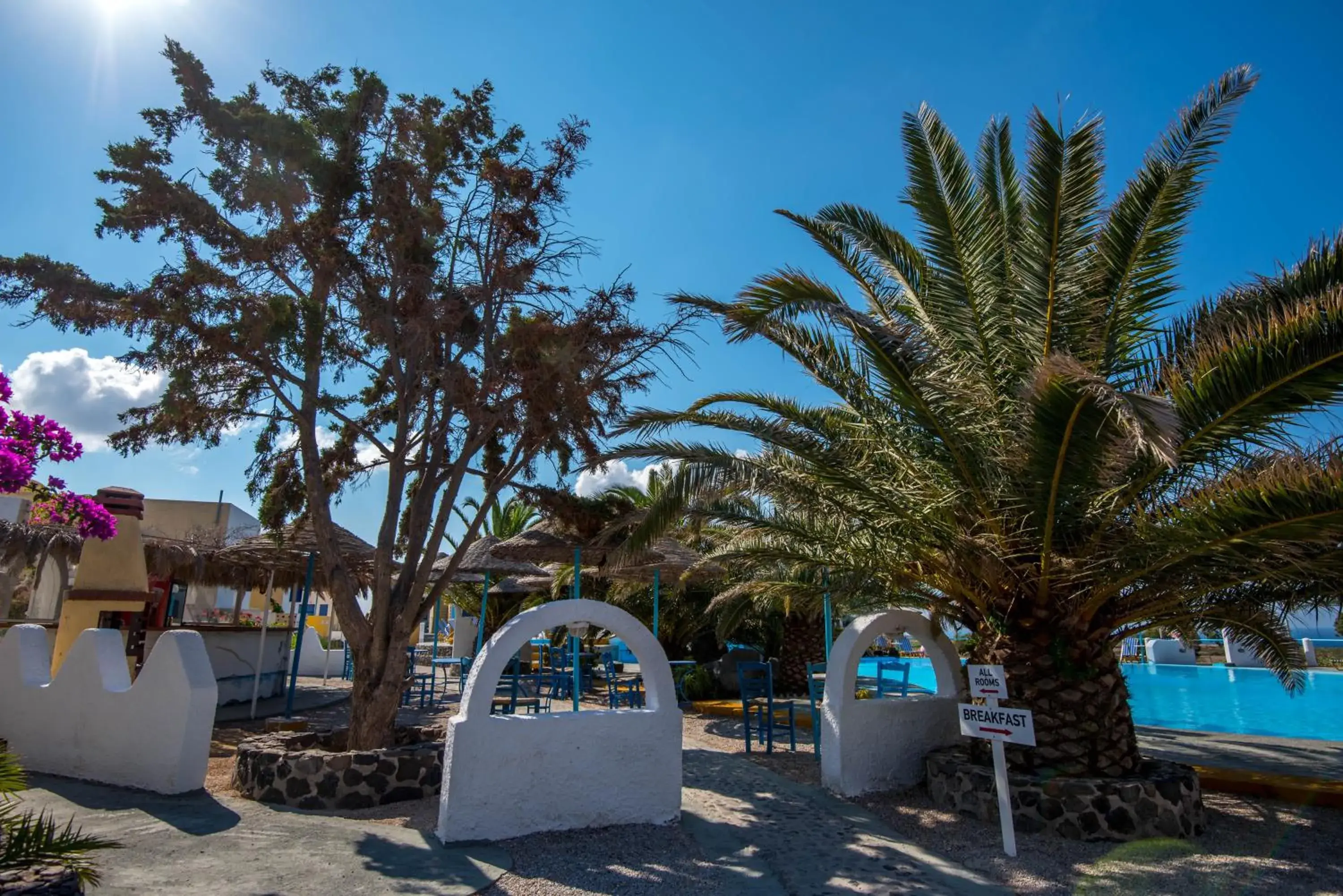 Garden in Caldera View Resort - Adults Only Garden in Caldera View Resort - Adults Only