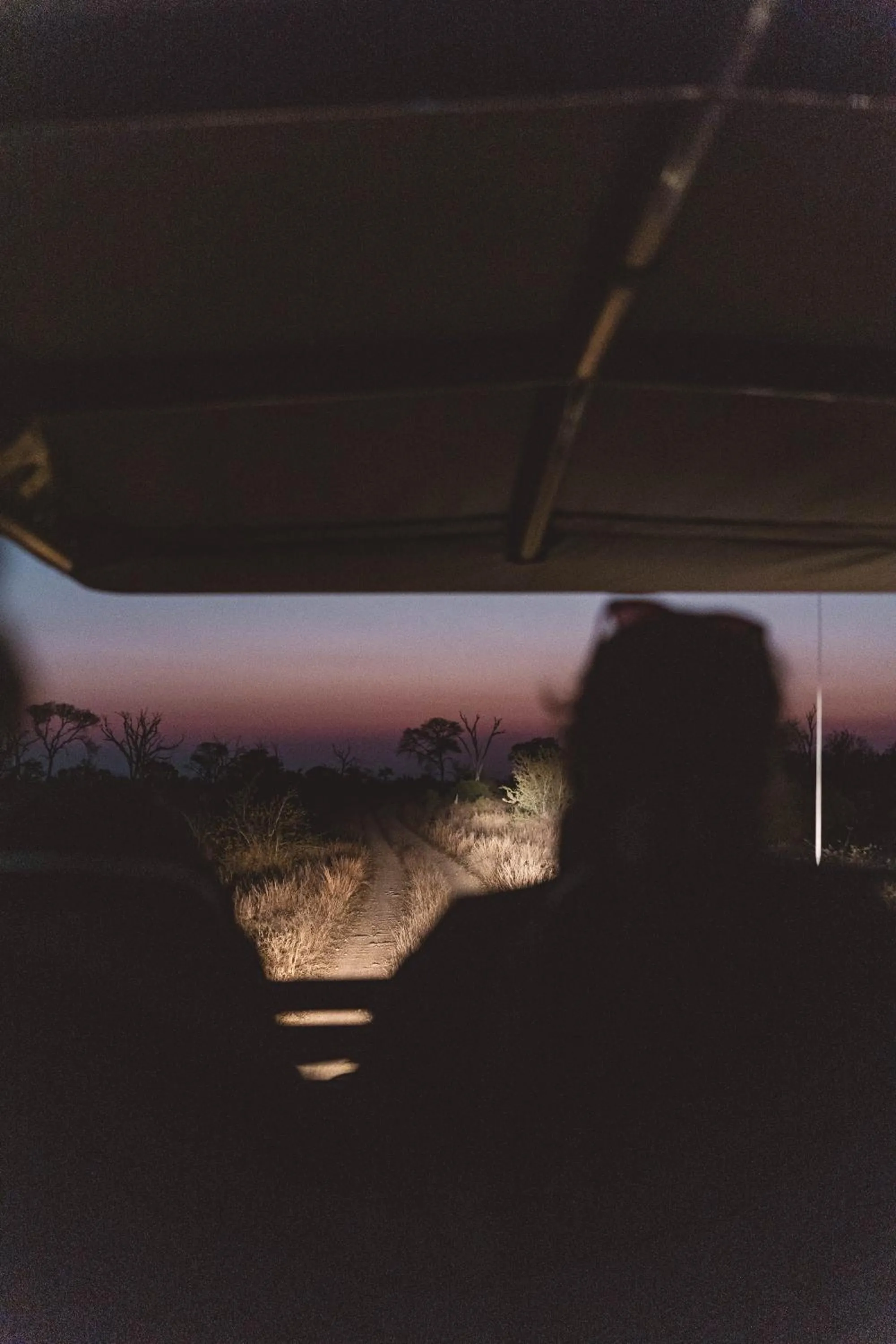 Activities in Buffelshoek Tented Camp