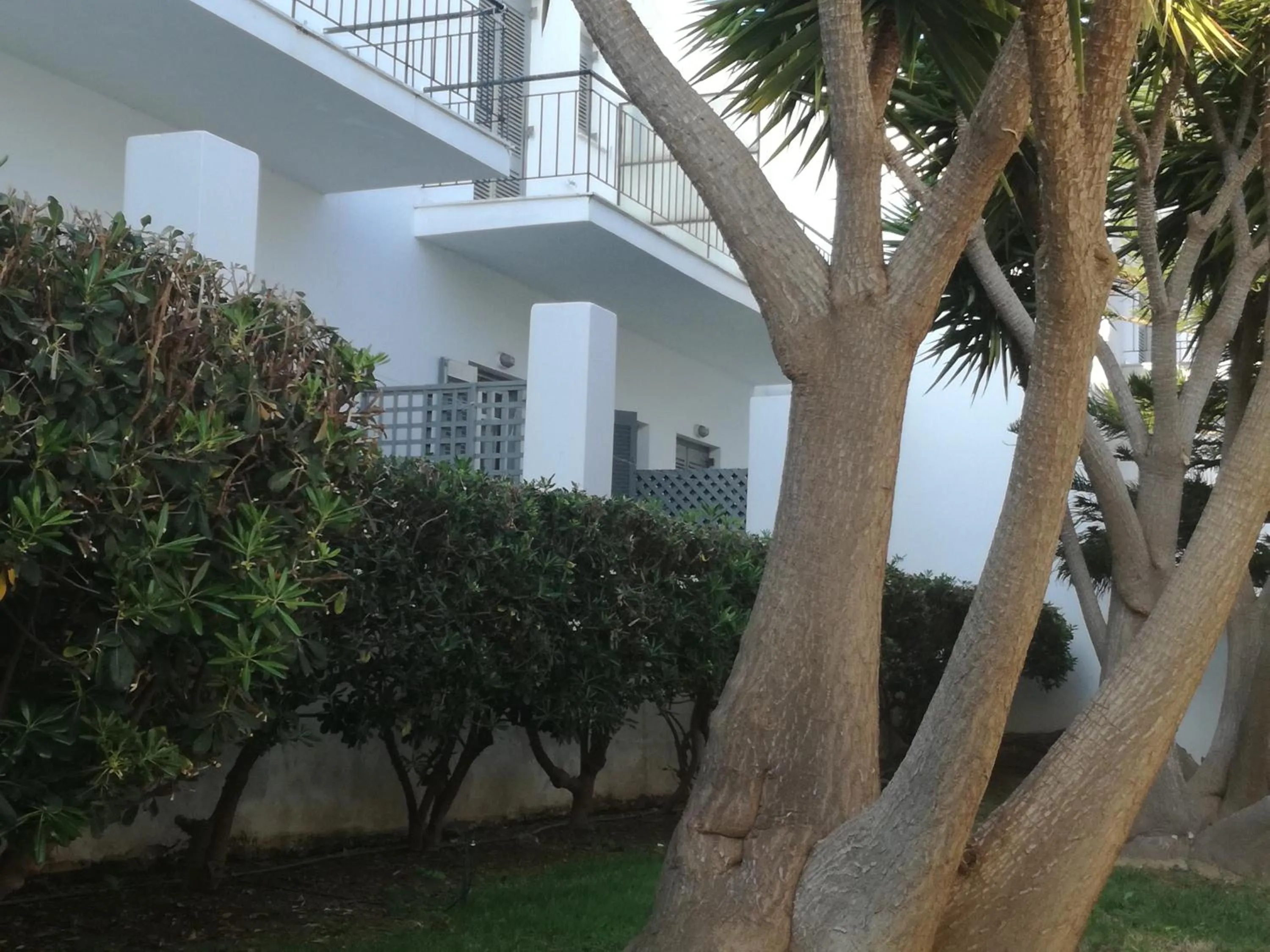 Garden in Ostria Hotel & Apartments