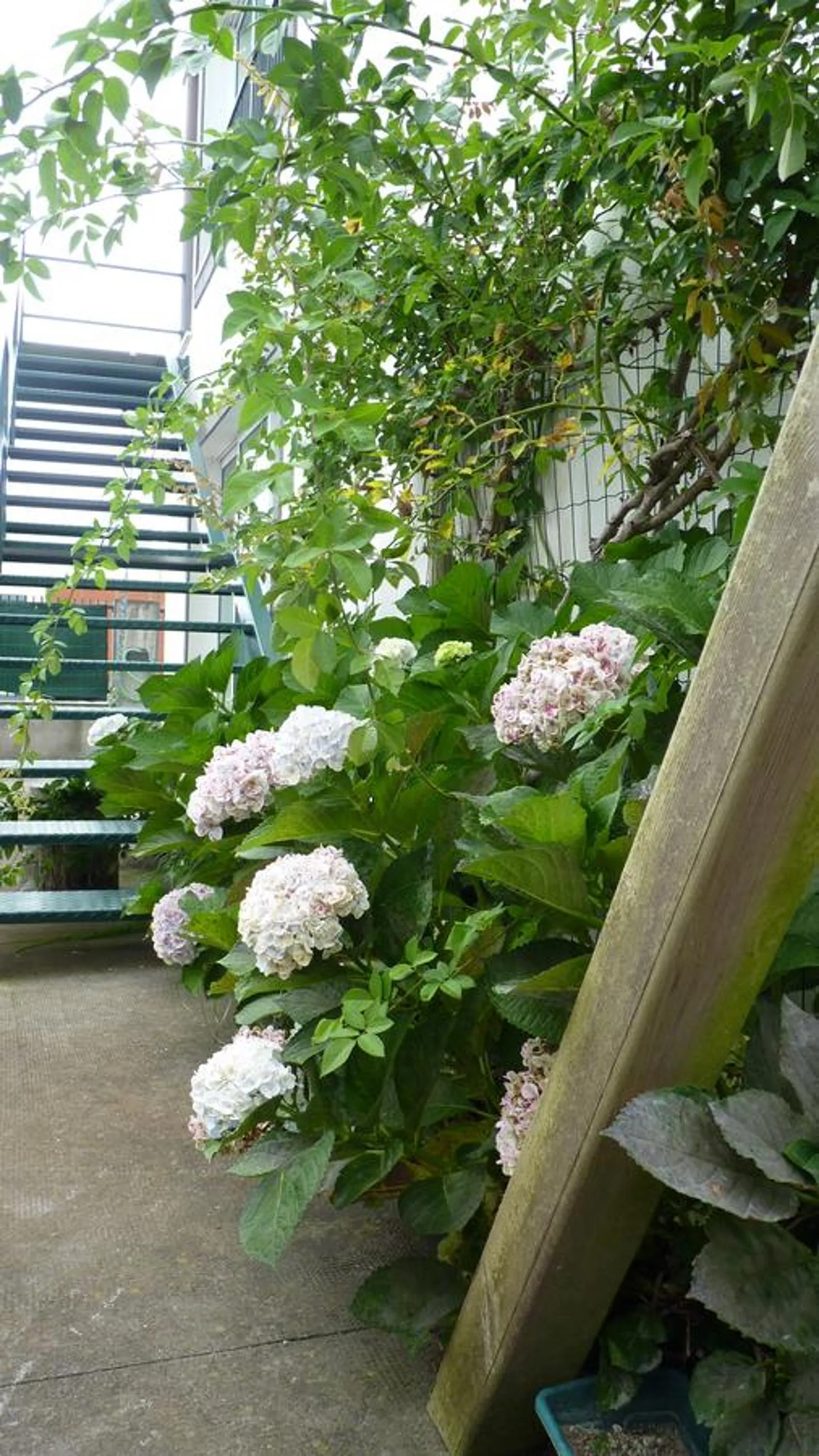 Property building in AZORES HOLIDAYS HOUSE -B&B - Suites - Self Check-in KEYBOARD