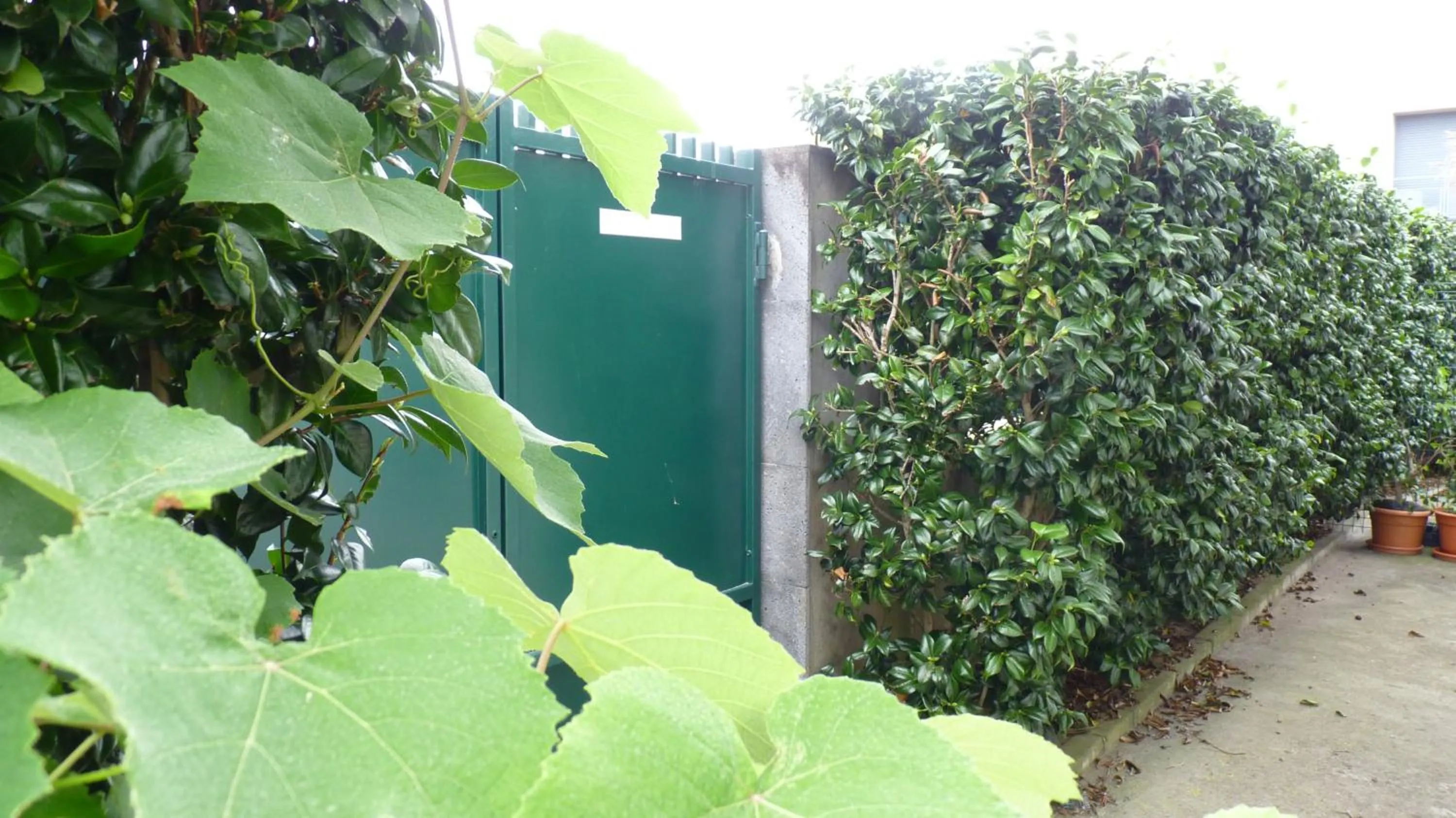 Decorative detail in AZORES HOLIDAYS HOUSE -B&B - Suites - Self Check-in KEYBOARD