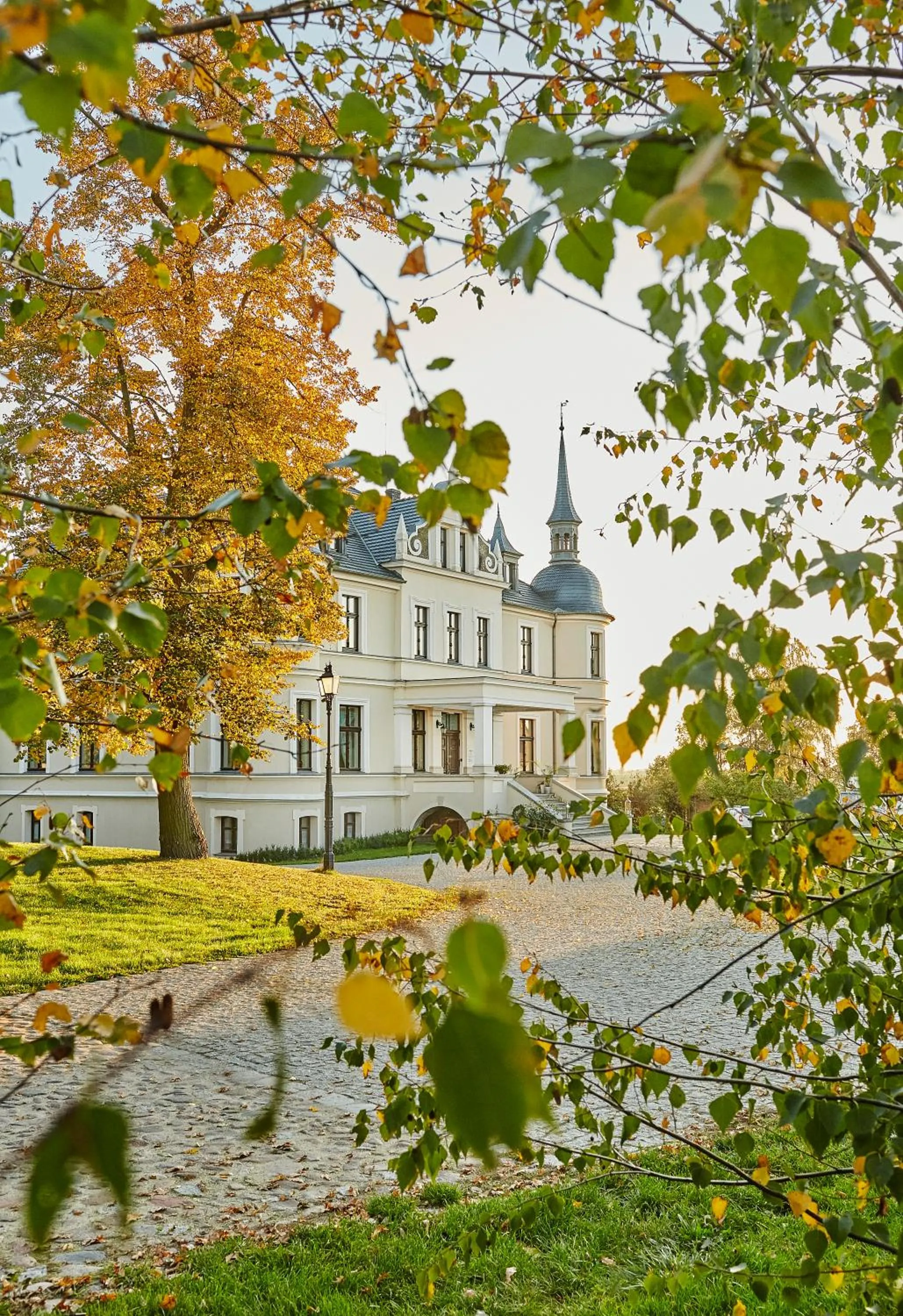 Property building in Pałac w Orli - pokoje, restauracja