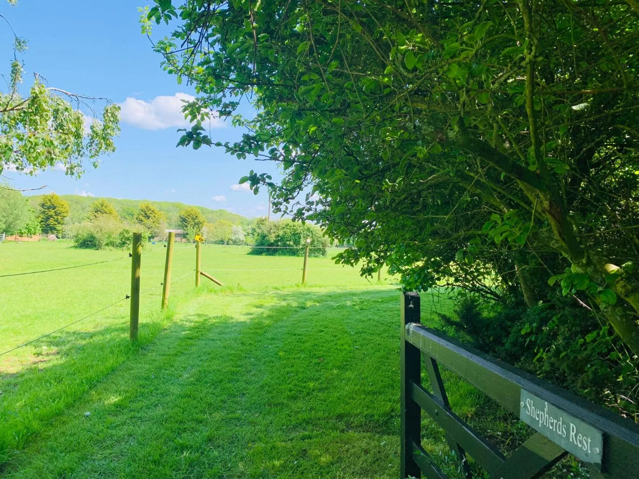 Bells Meadow Shepherds Hut