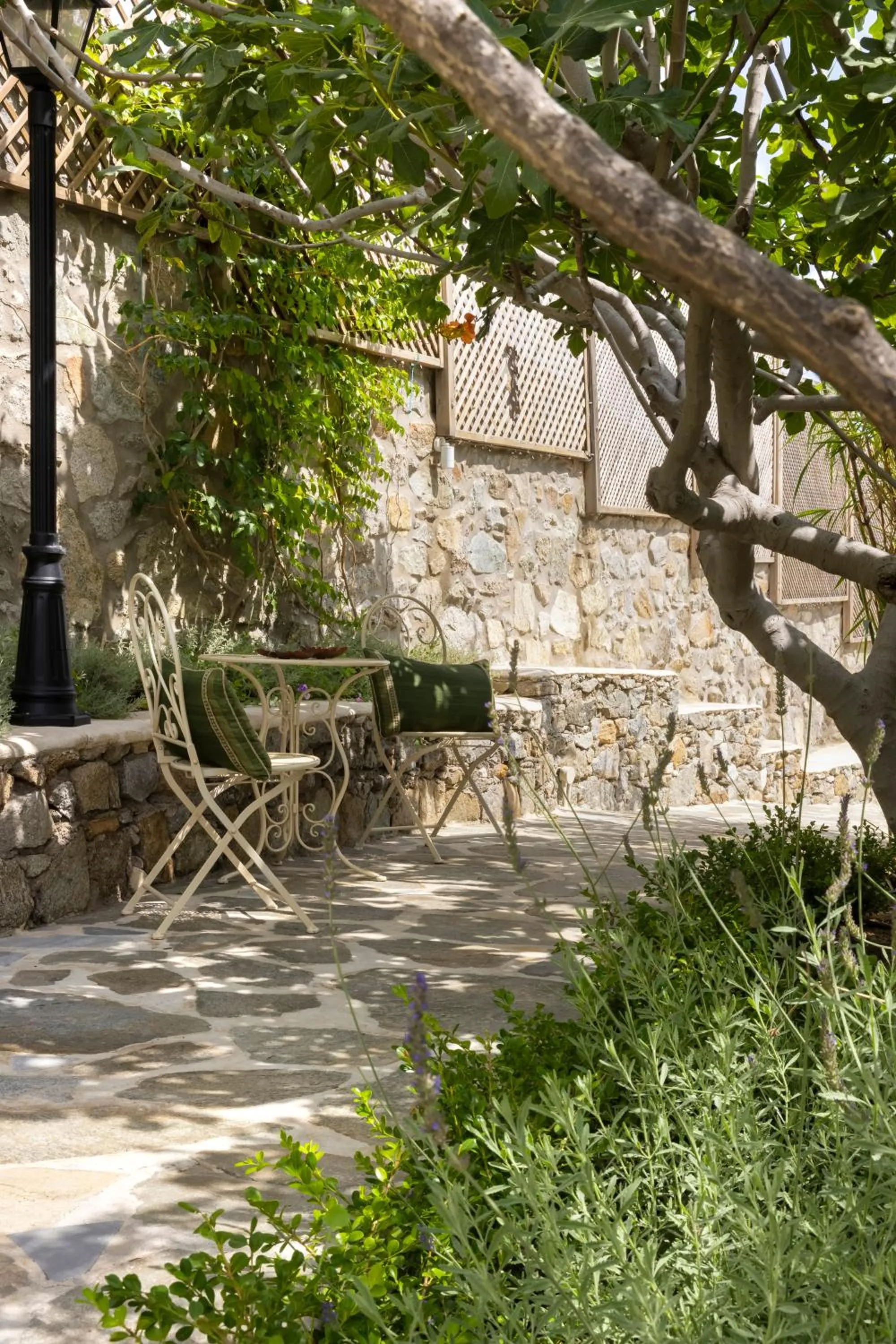 Garden in Dorion Hotel