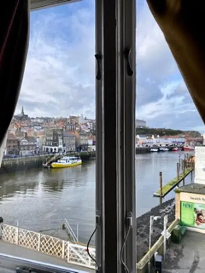 View (from property/room) in The Dolphin Hotel View (from property/room) in The Dolphin Hotel