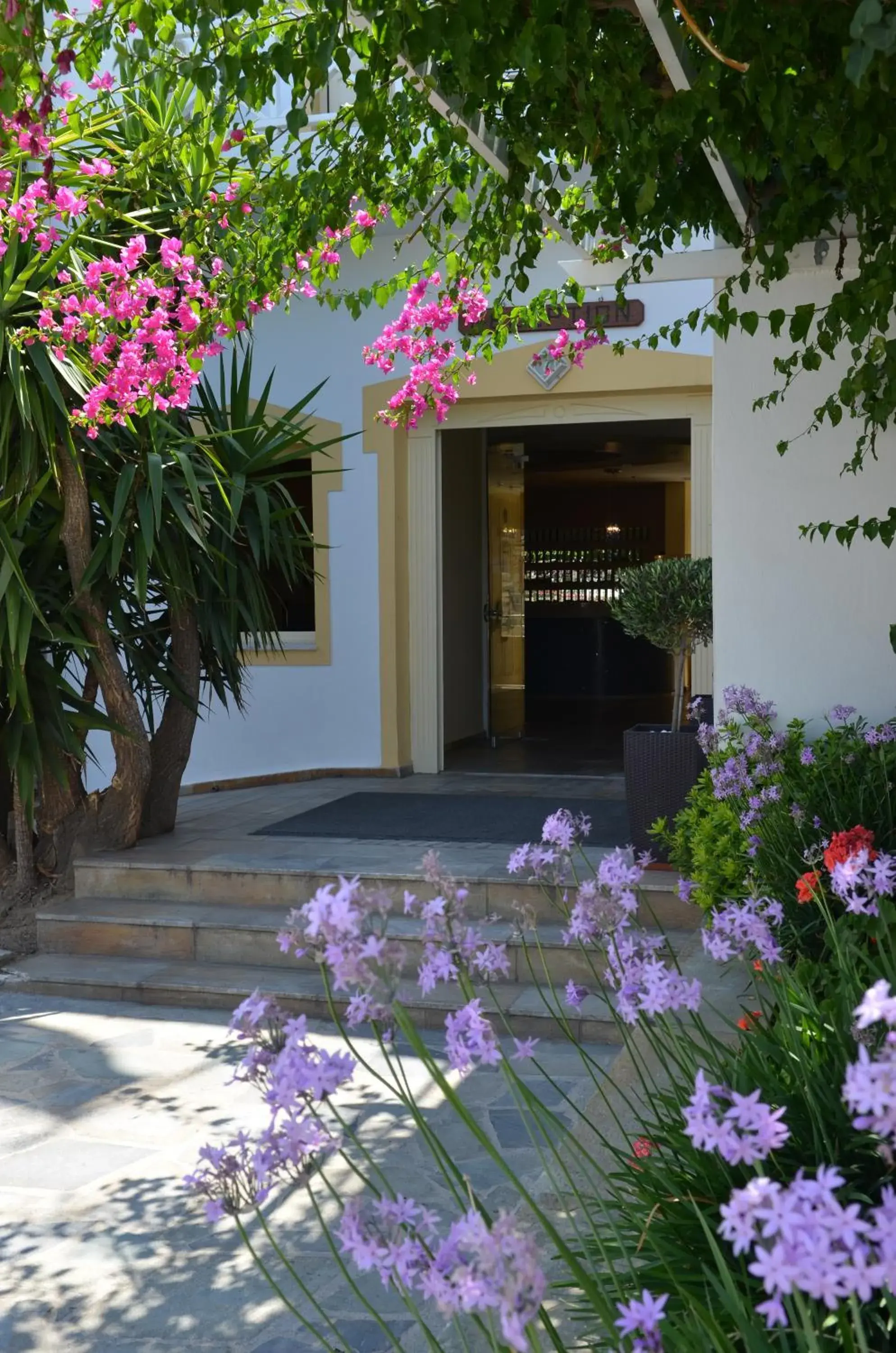 Facade/entrance in Dolphin Bay Seaside Resort & Suites Facade/entrance in Dolphin Bay Seaside Resort & Suites