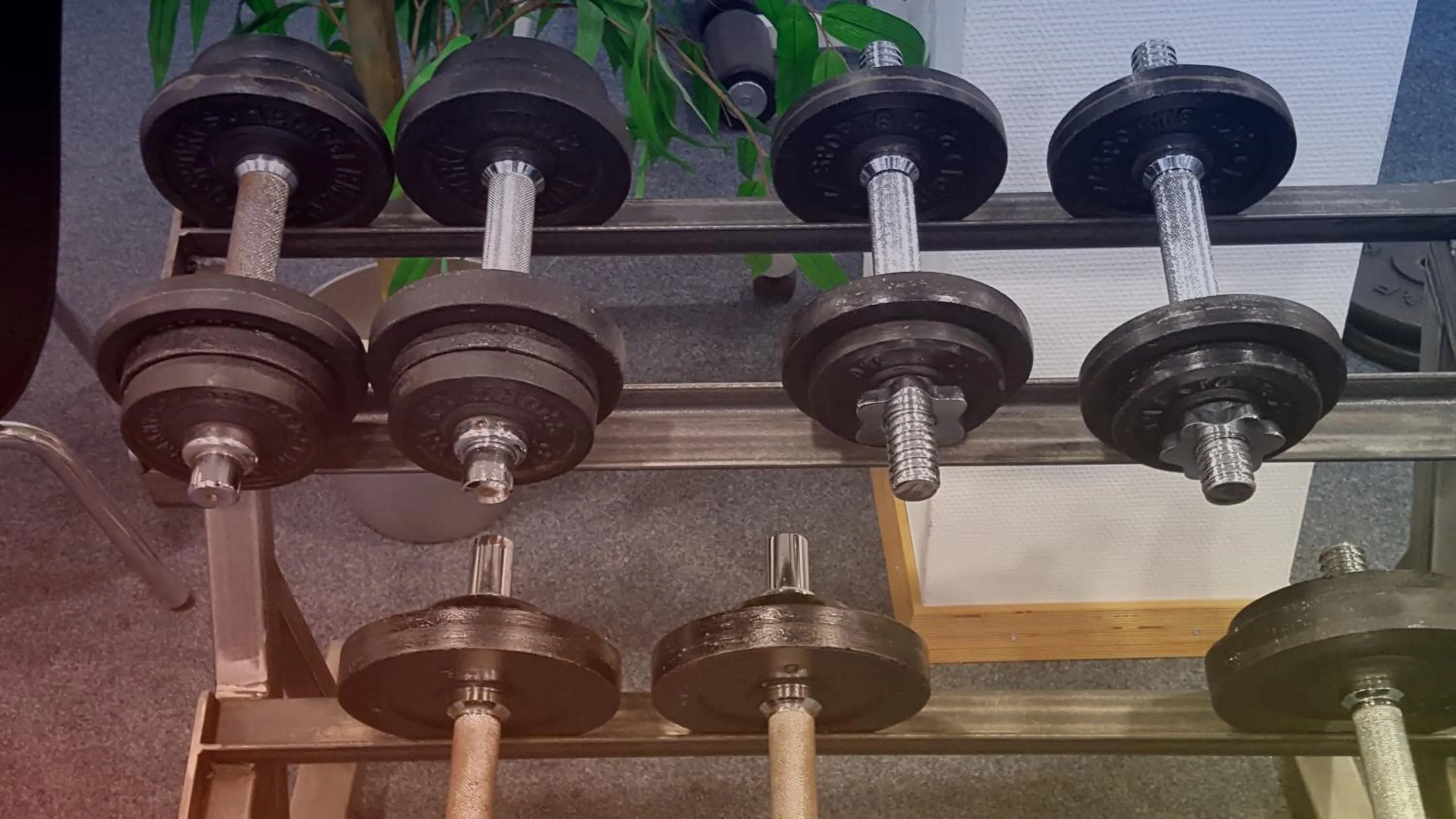 Fitness centre/facilities in Hotel Scholz