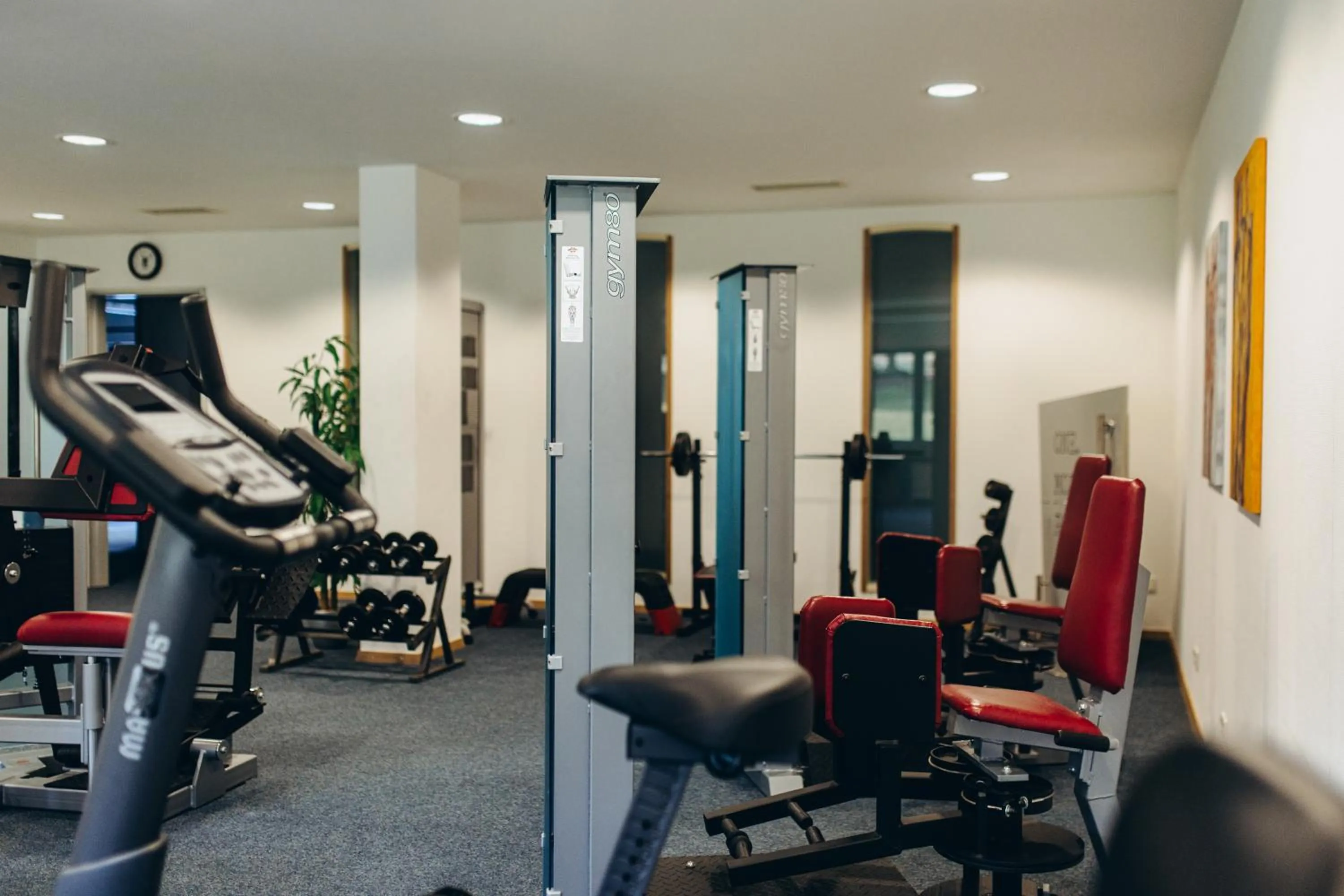 Fitness centre/facilities in Hotel Scholz