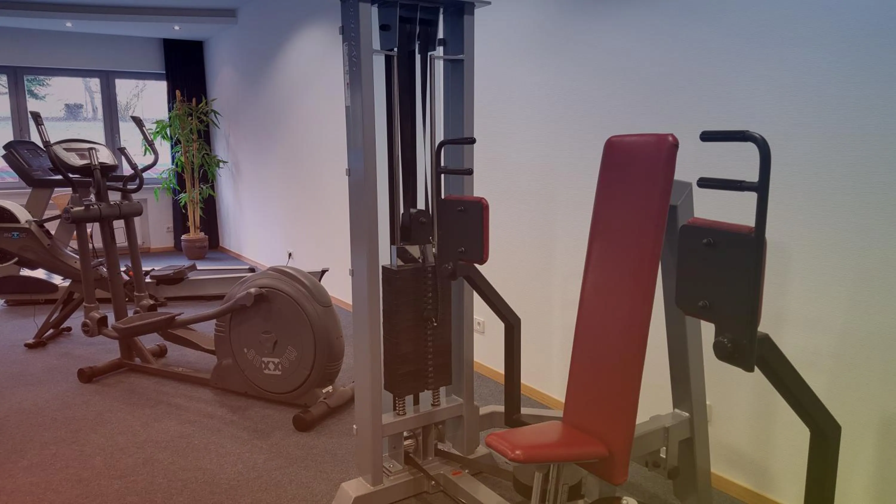 Fitness centre/facilities in Hotel Scholz