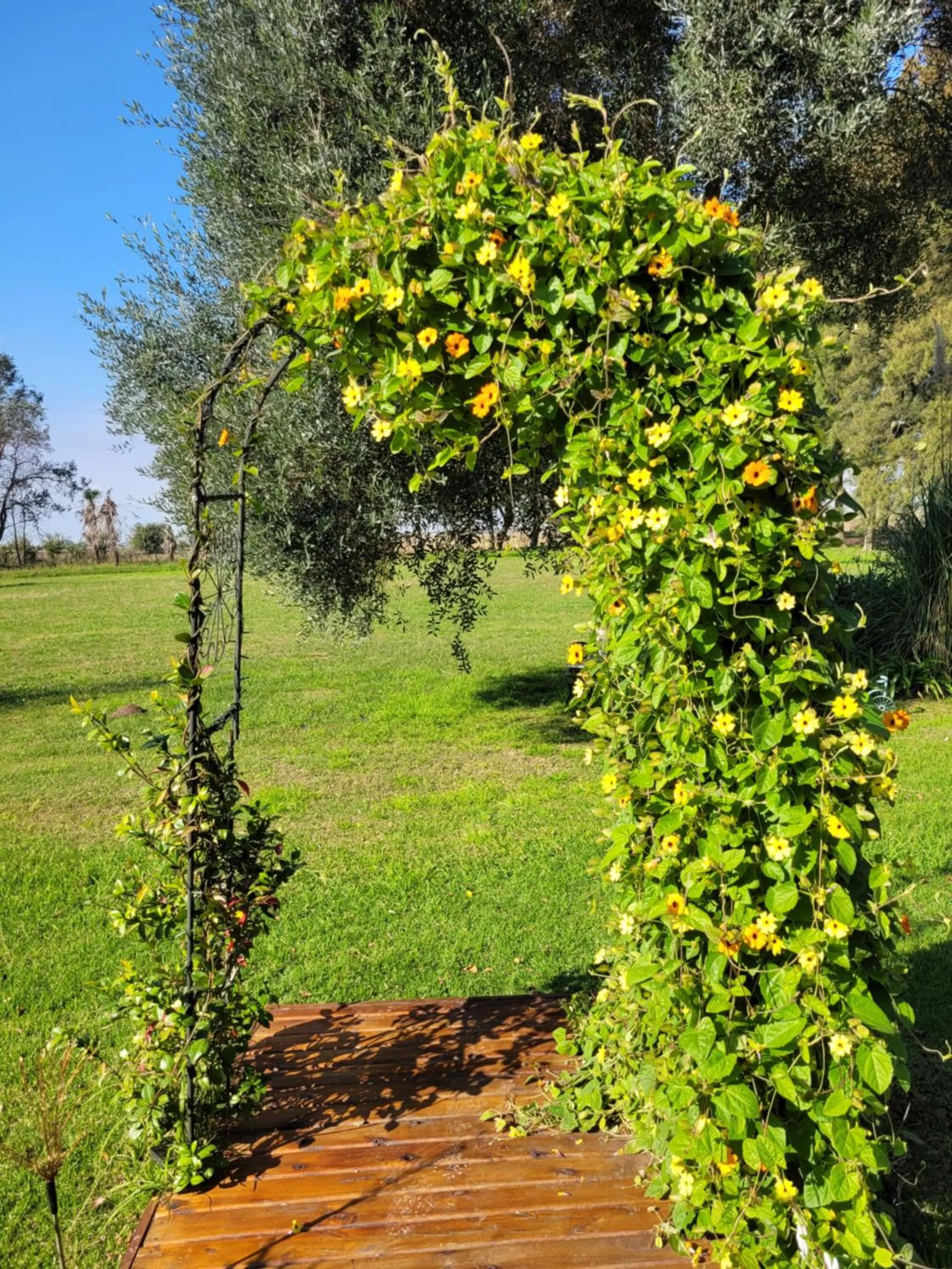 La Perdida Casa de Campo
